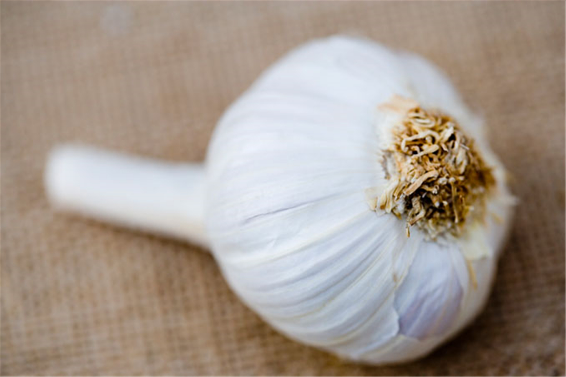 大蒜的好处你知道多少?