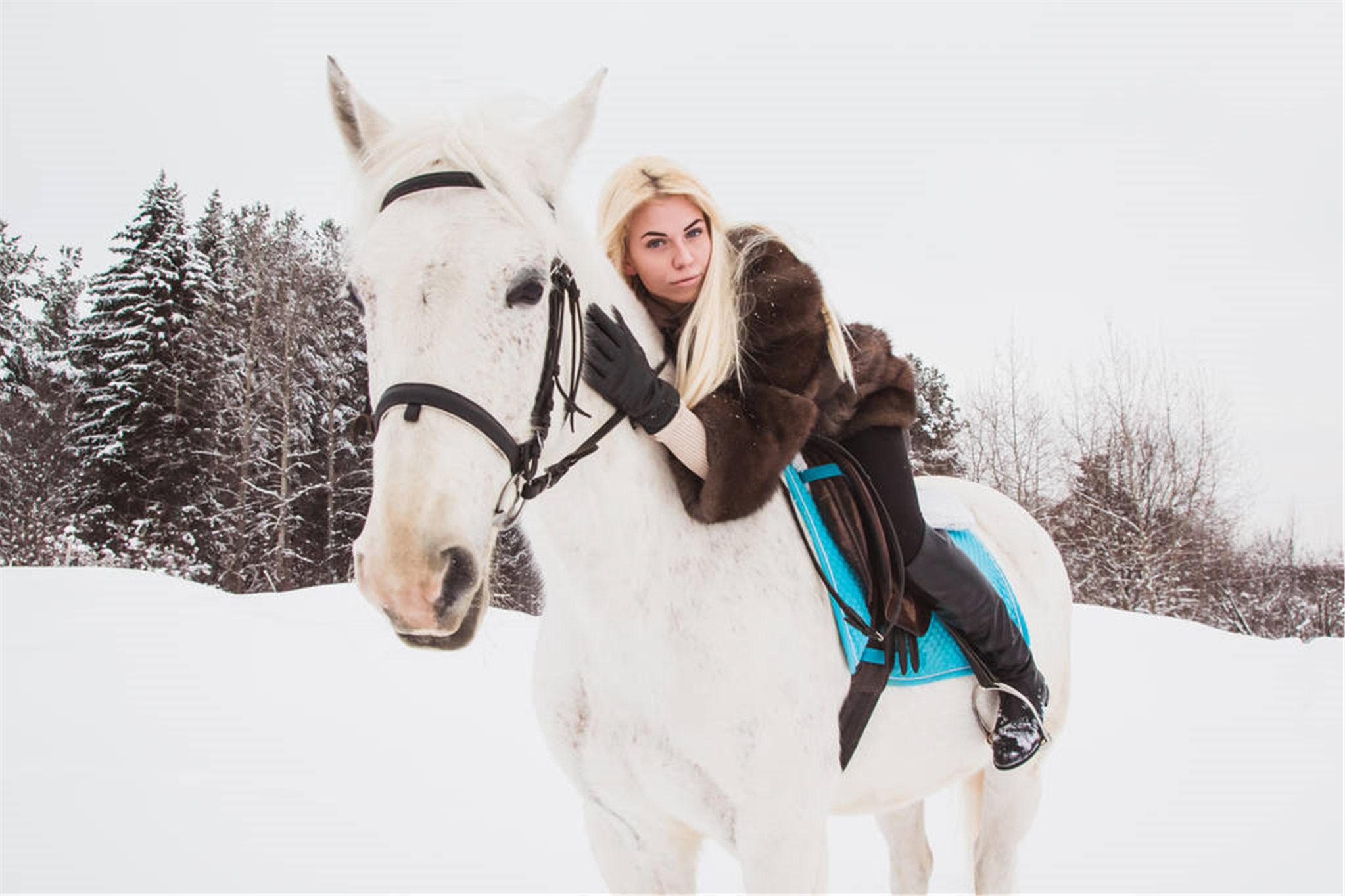 属马女和什么属相最配对90年属马女属相婚配表