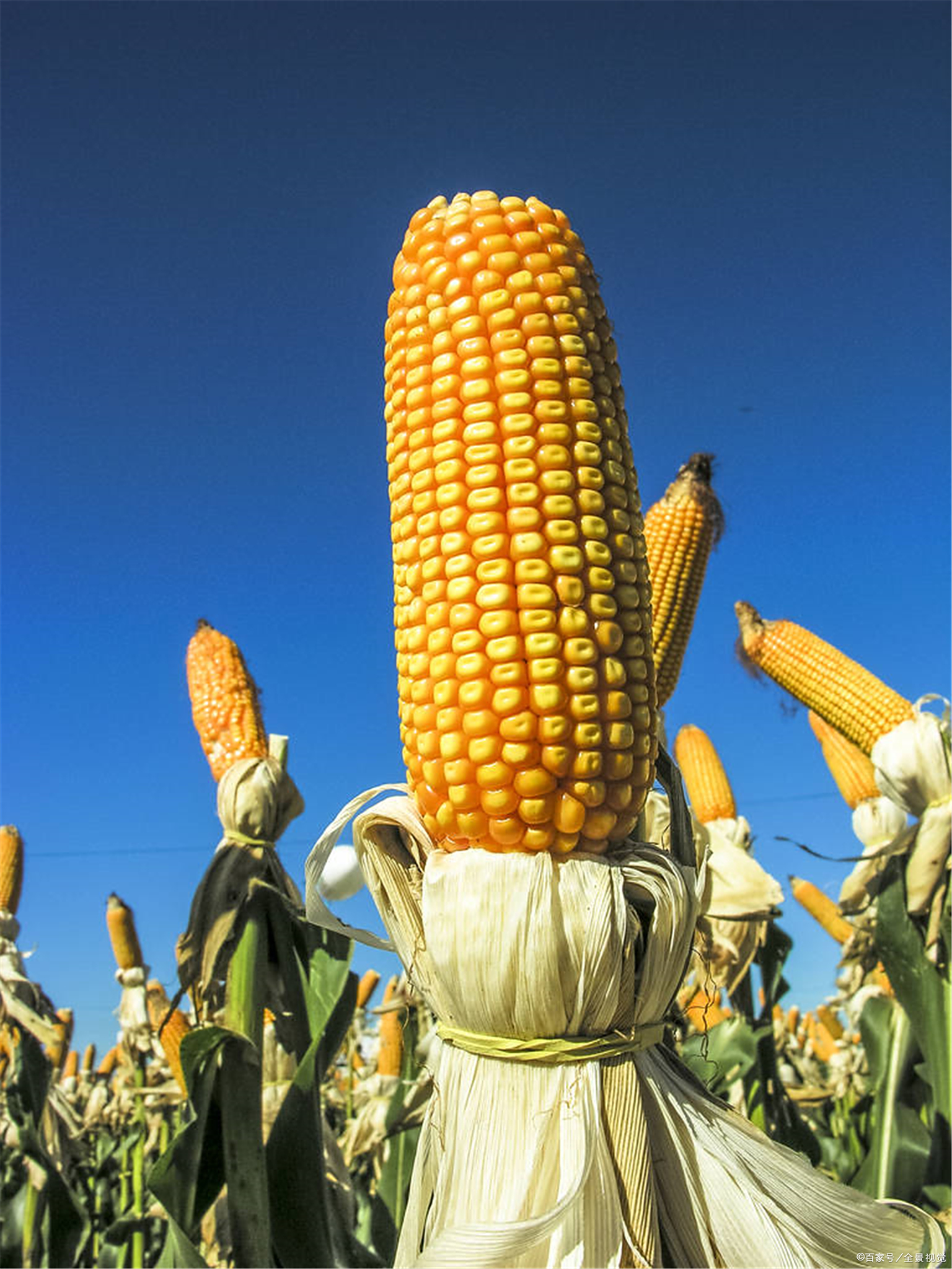 锥- 热门商品专区