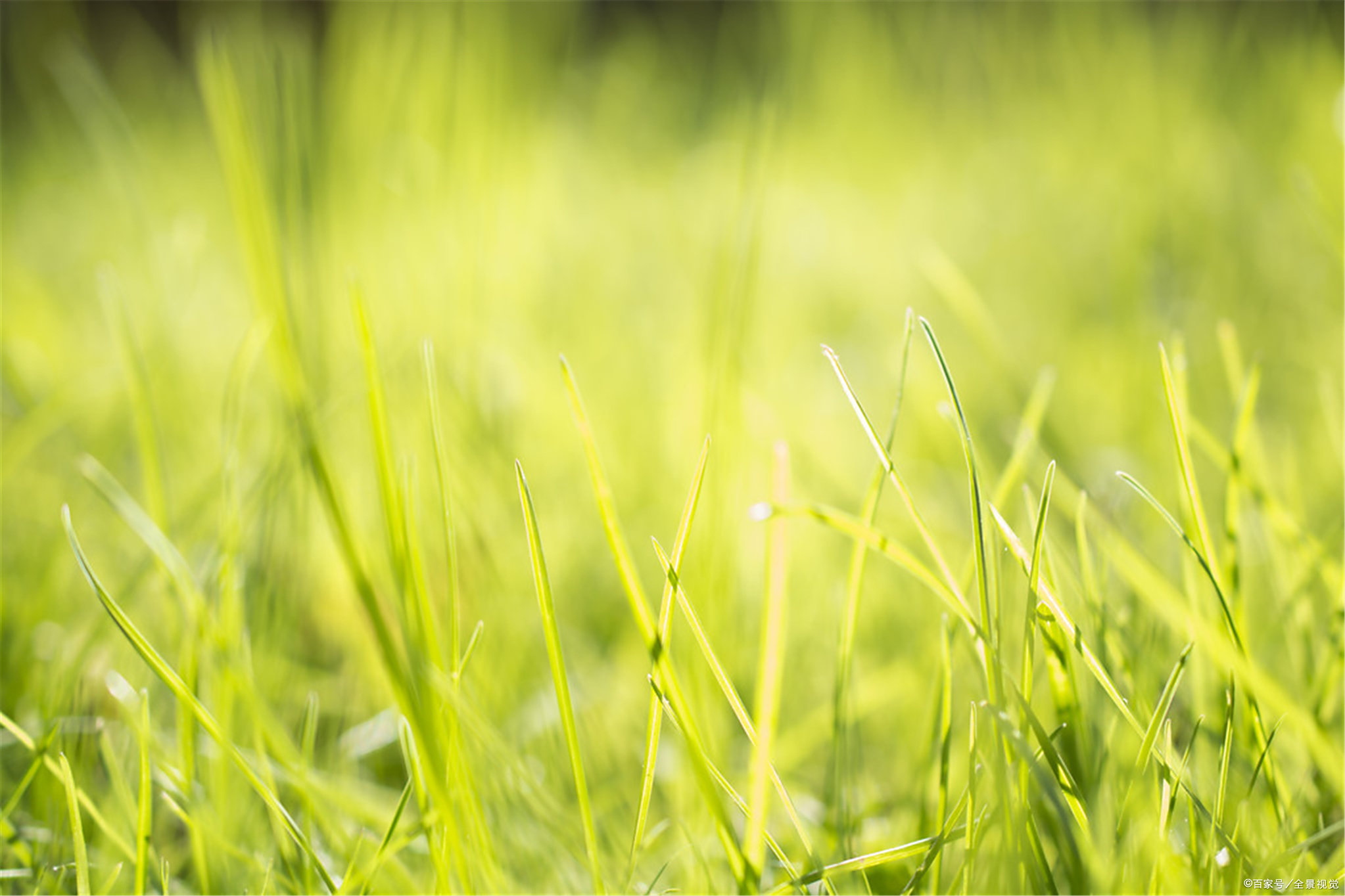 论好习惯的养成：培养孩子学会倾听，可从这3点入手！