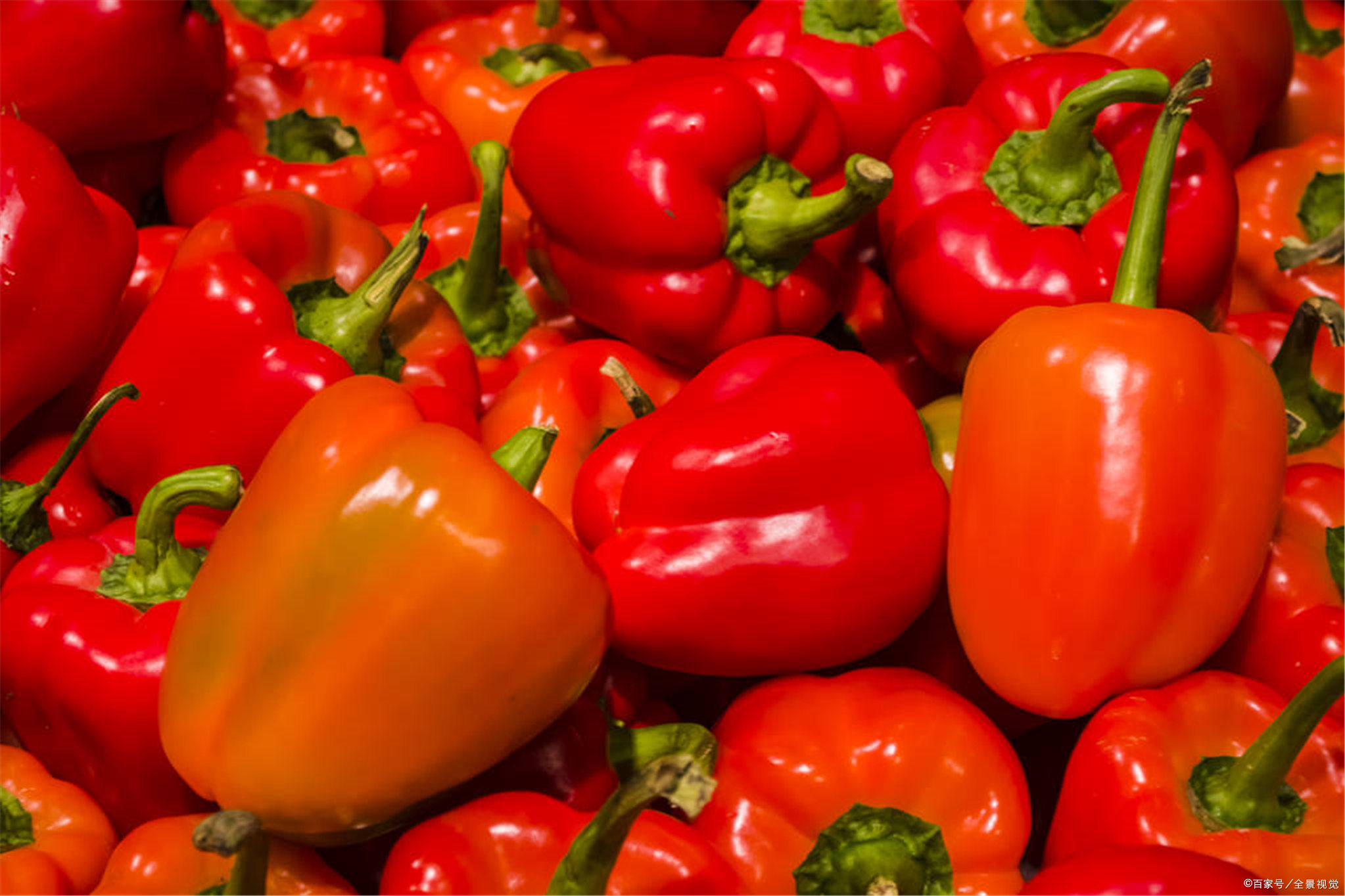 添加剂 - 热门商品专区