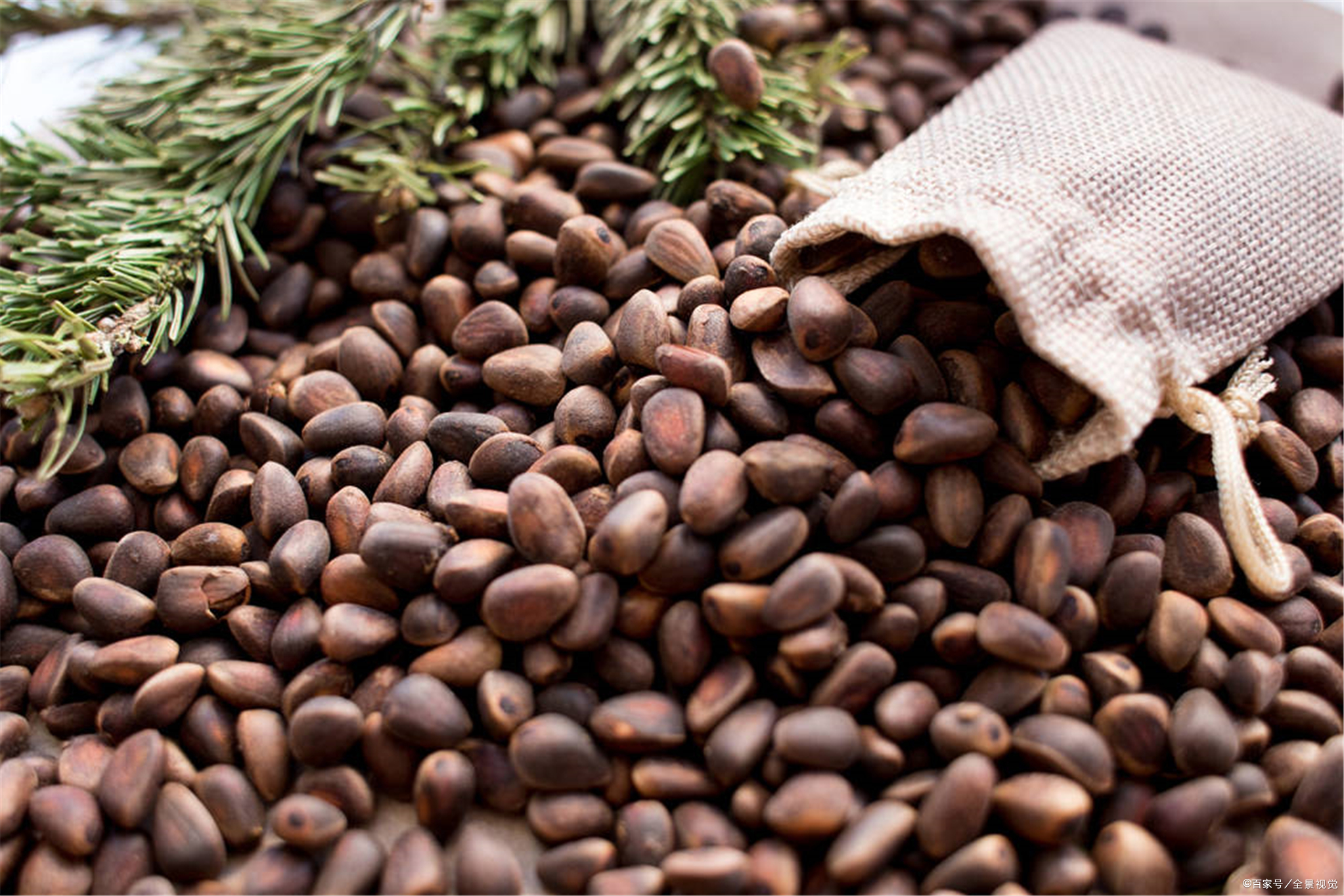 松子 开口 - 2020年最新商品信息聚合专区 - 百度爱采购