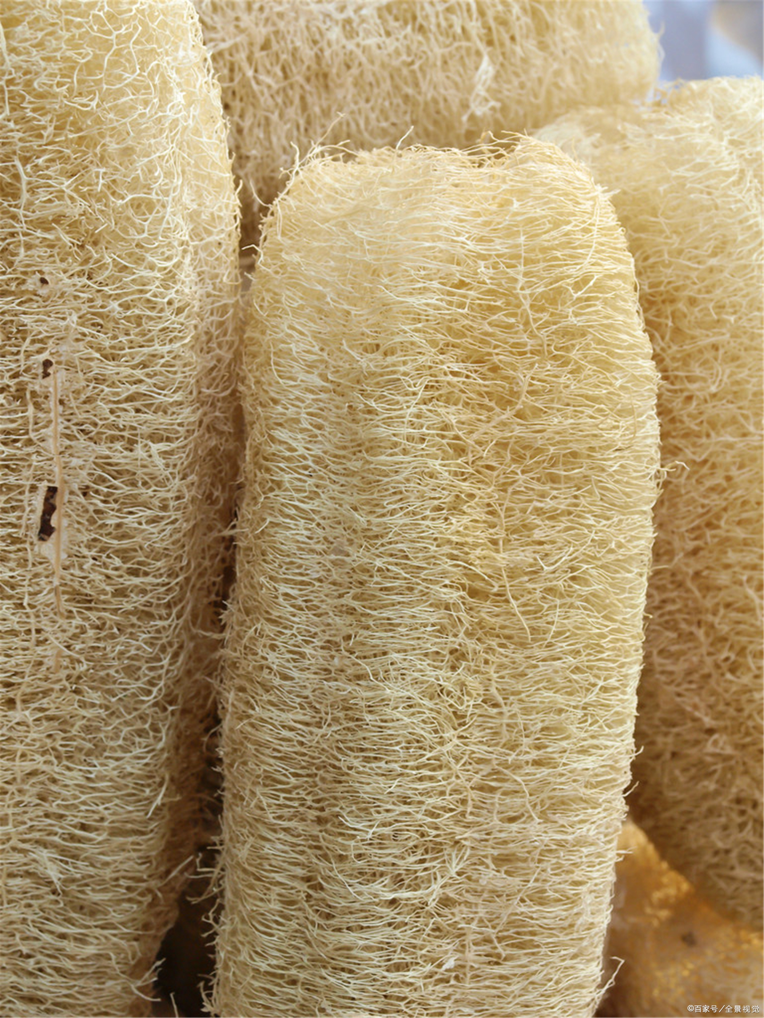 丝瓜怎么刷锅 - 2020年最新商品信息聚合专区 - 百度爱采购