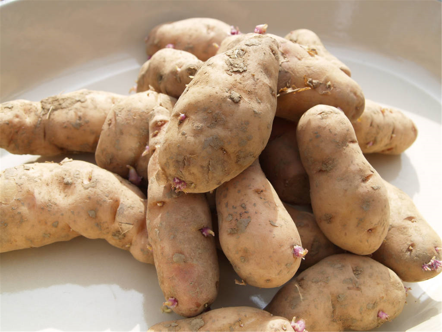 土豆:皮    土豆里含有茄碱(又称龙葵素),是一种弱碱性糖甙.