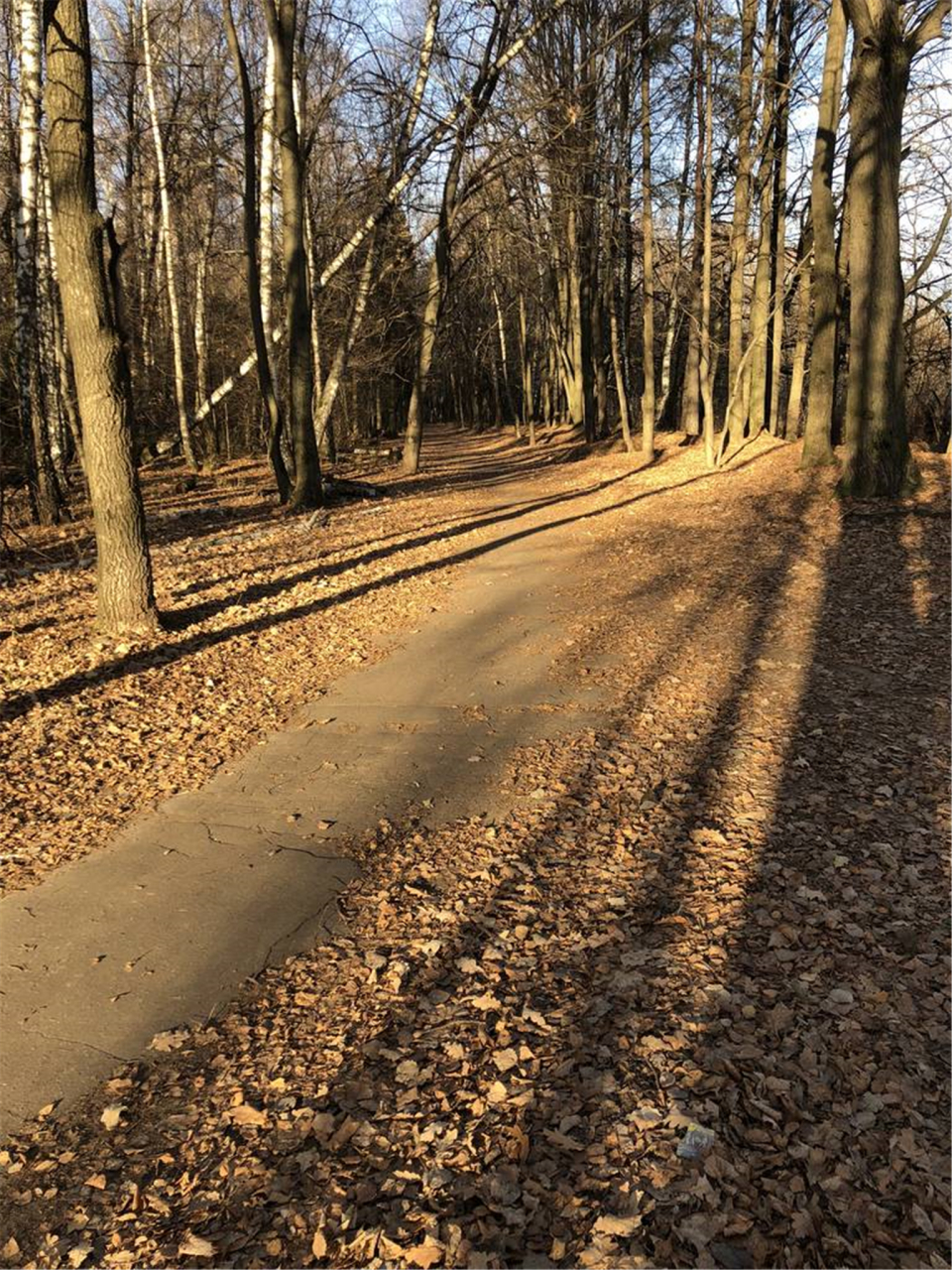 晚秋漫步  〔美〕罗伯特·弗罗斯特 当我漫步穿过收割后的田野, 只见