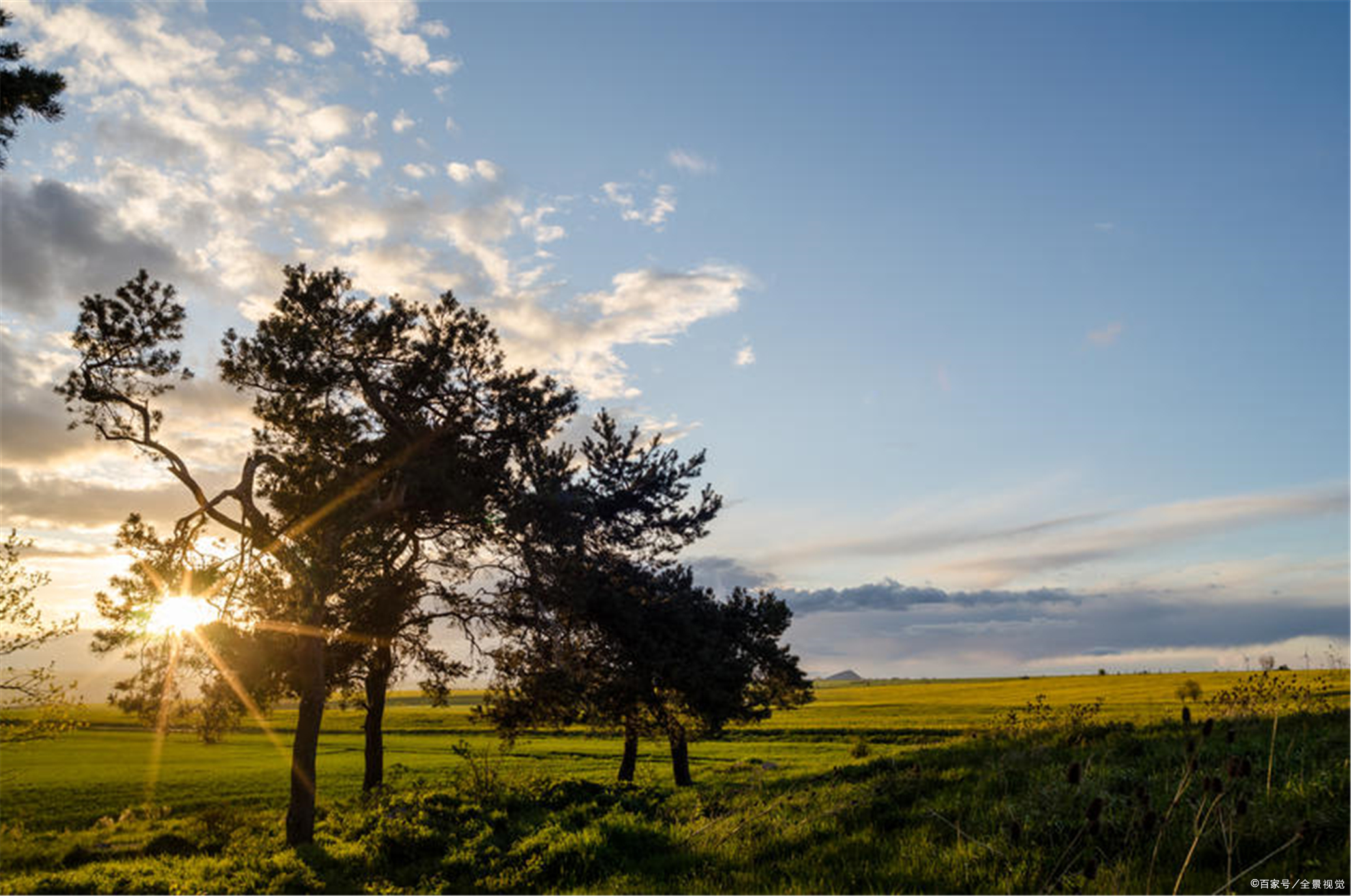 多少”社会巨婴“的形成，都源于父母以爱为名的控制