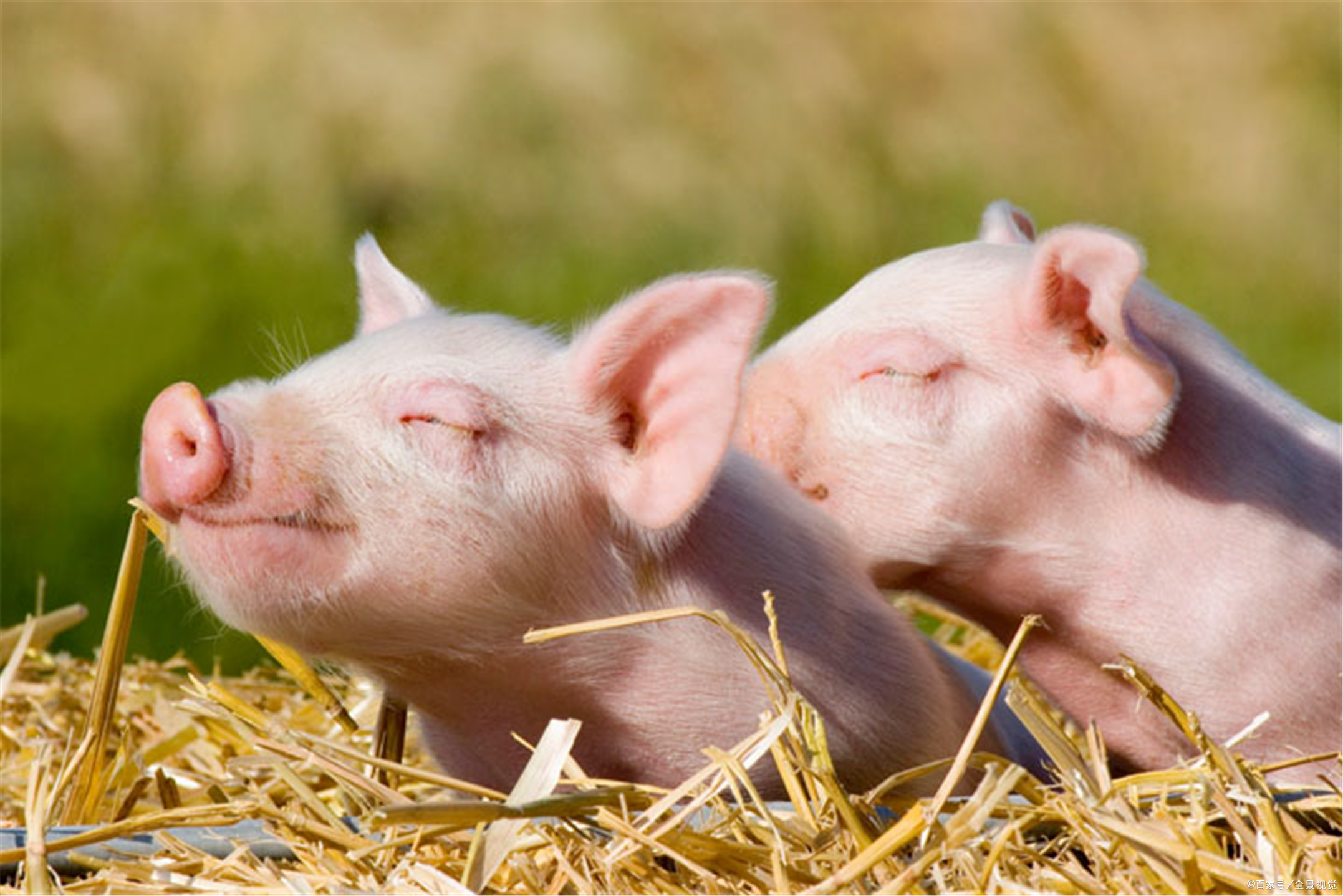 2020年最新商品信息聚合专区 - 百度爱采购