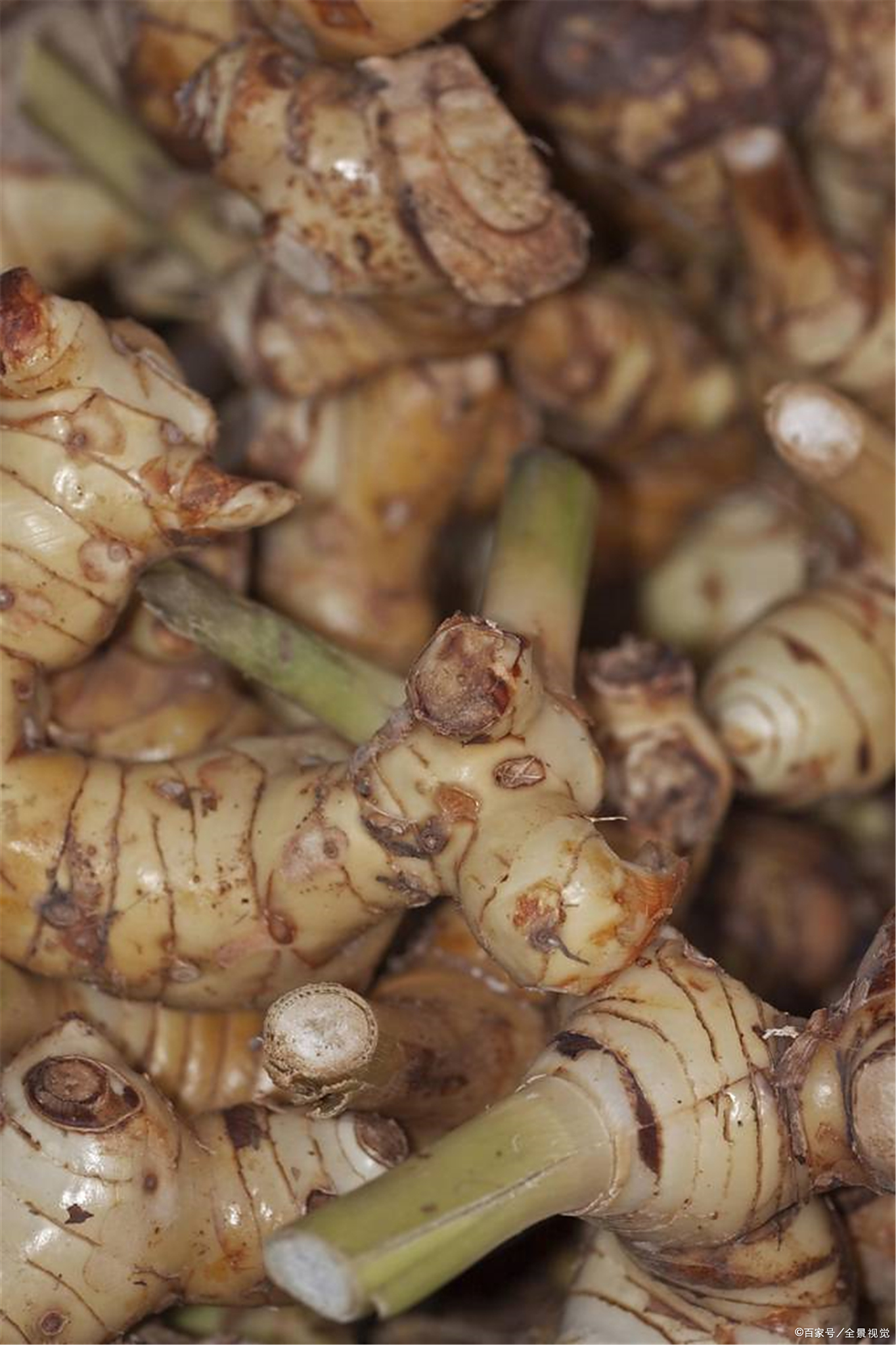 沙姜- 热门商品专区