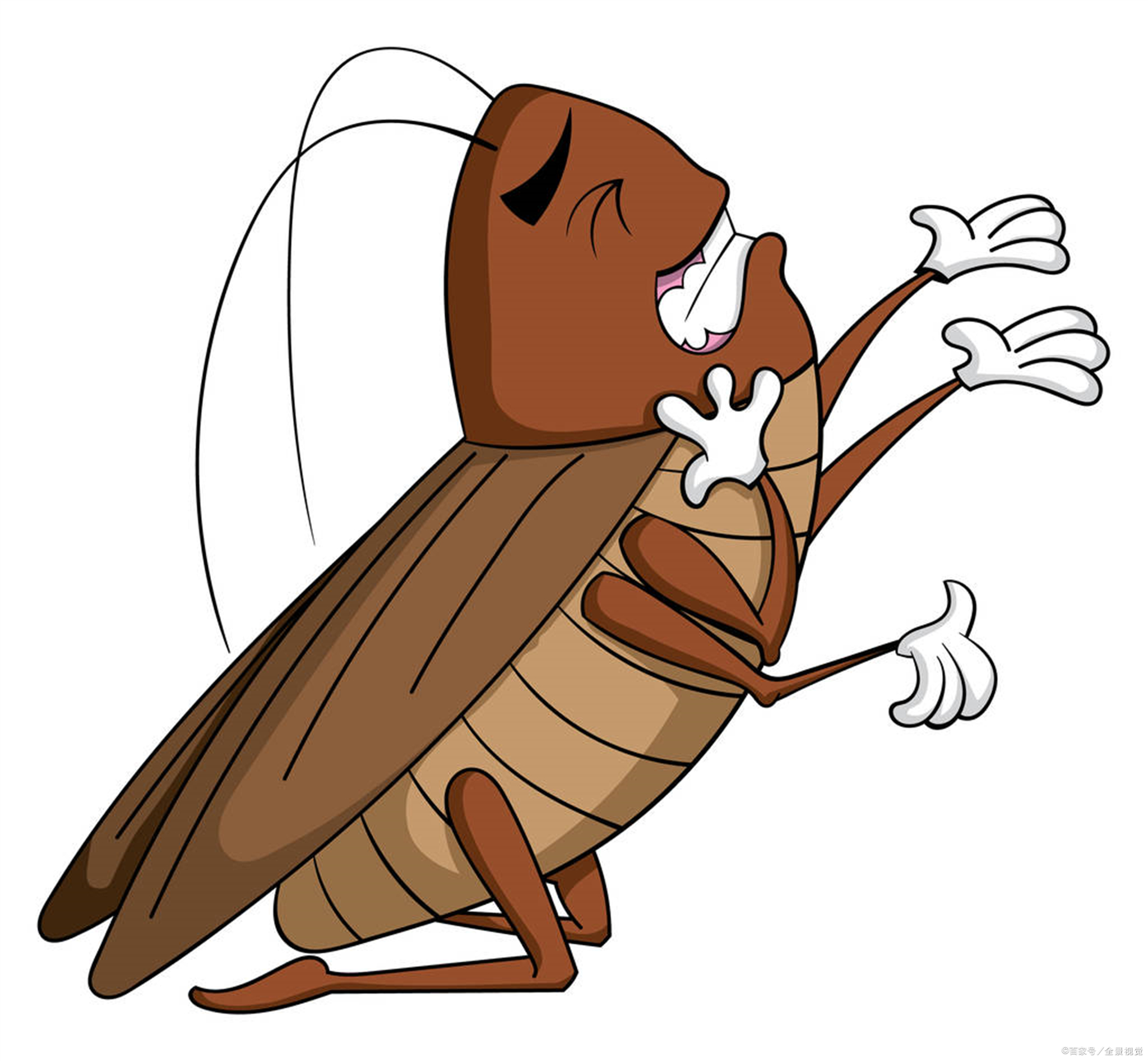 你还在用能号称让蟑螂断子绝孙的盒装药?小心变成蟑螂的育婴室