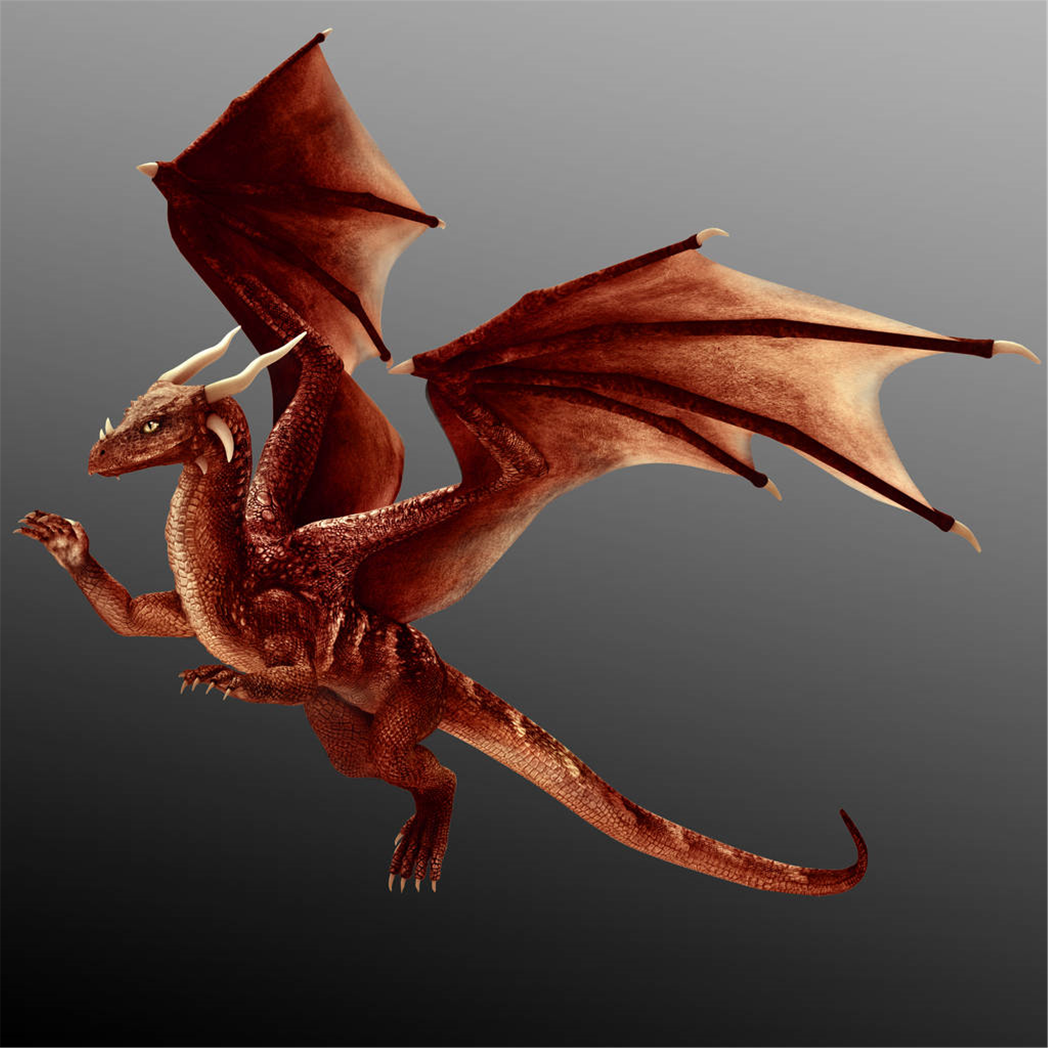 属龙的人最怕什么动物属龙人最怕的人是谁