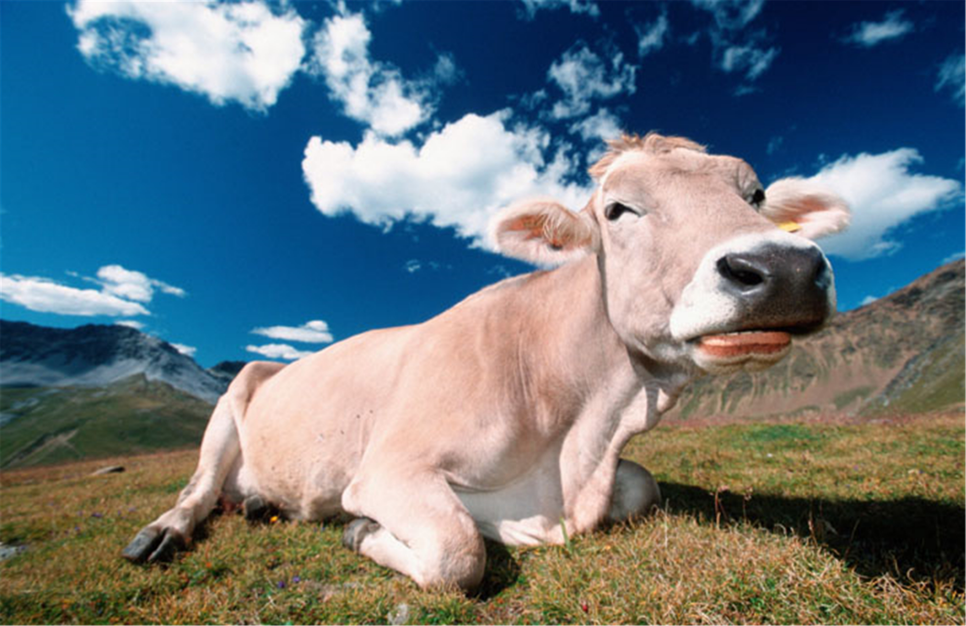 [3]全球发盘 global offering [04gl05ub05l 0400f