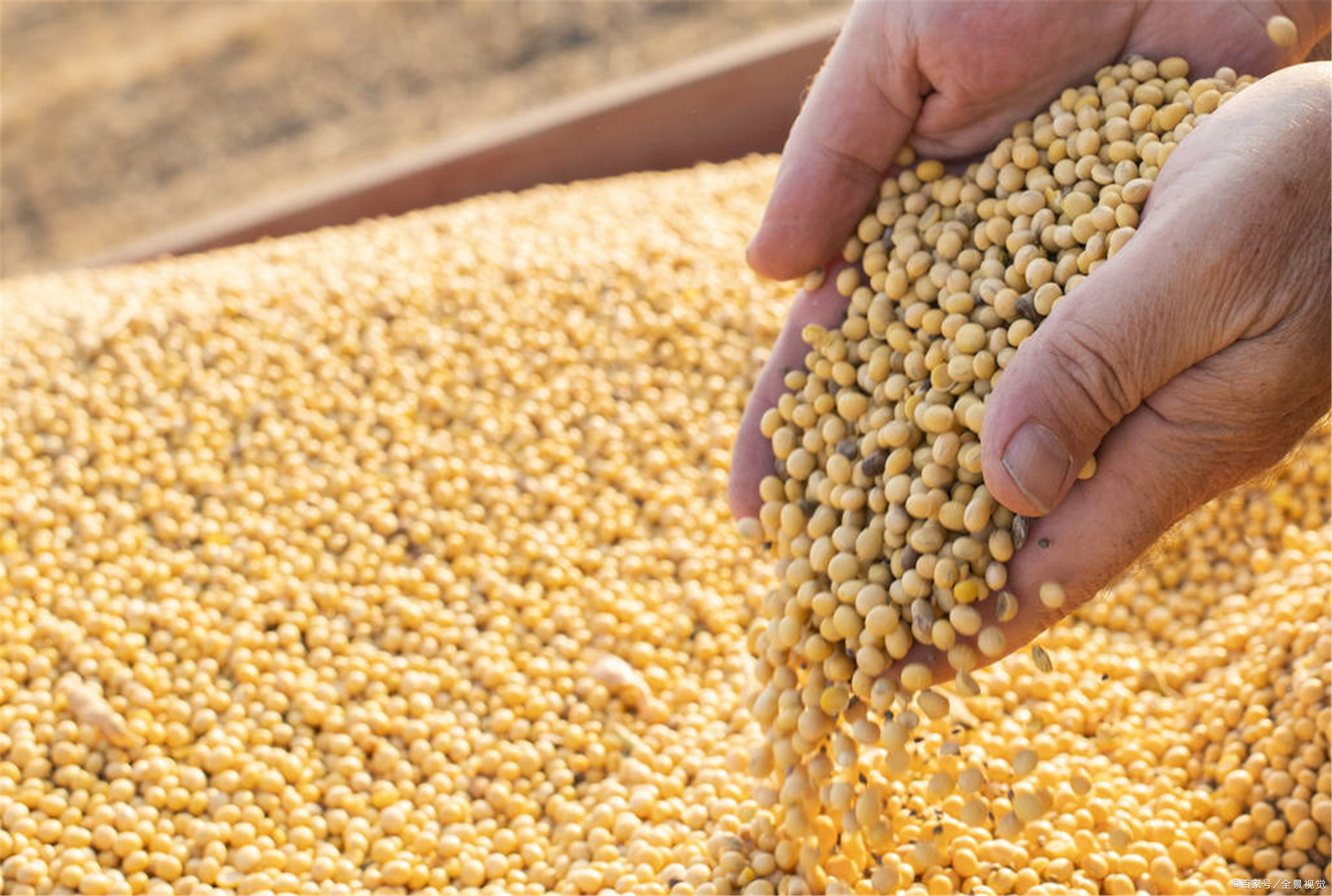 俄罗斯大豆出口关税可能提高至20%