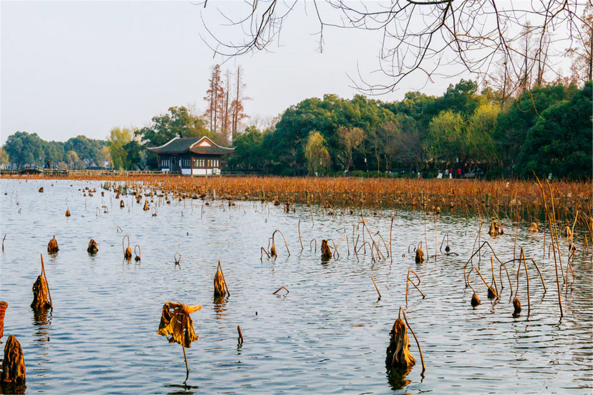 "群芳过后西湖好,狼藉残红,飞絮濛濛,垂柳阑干尽日风.