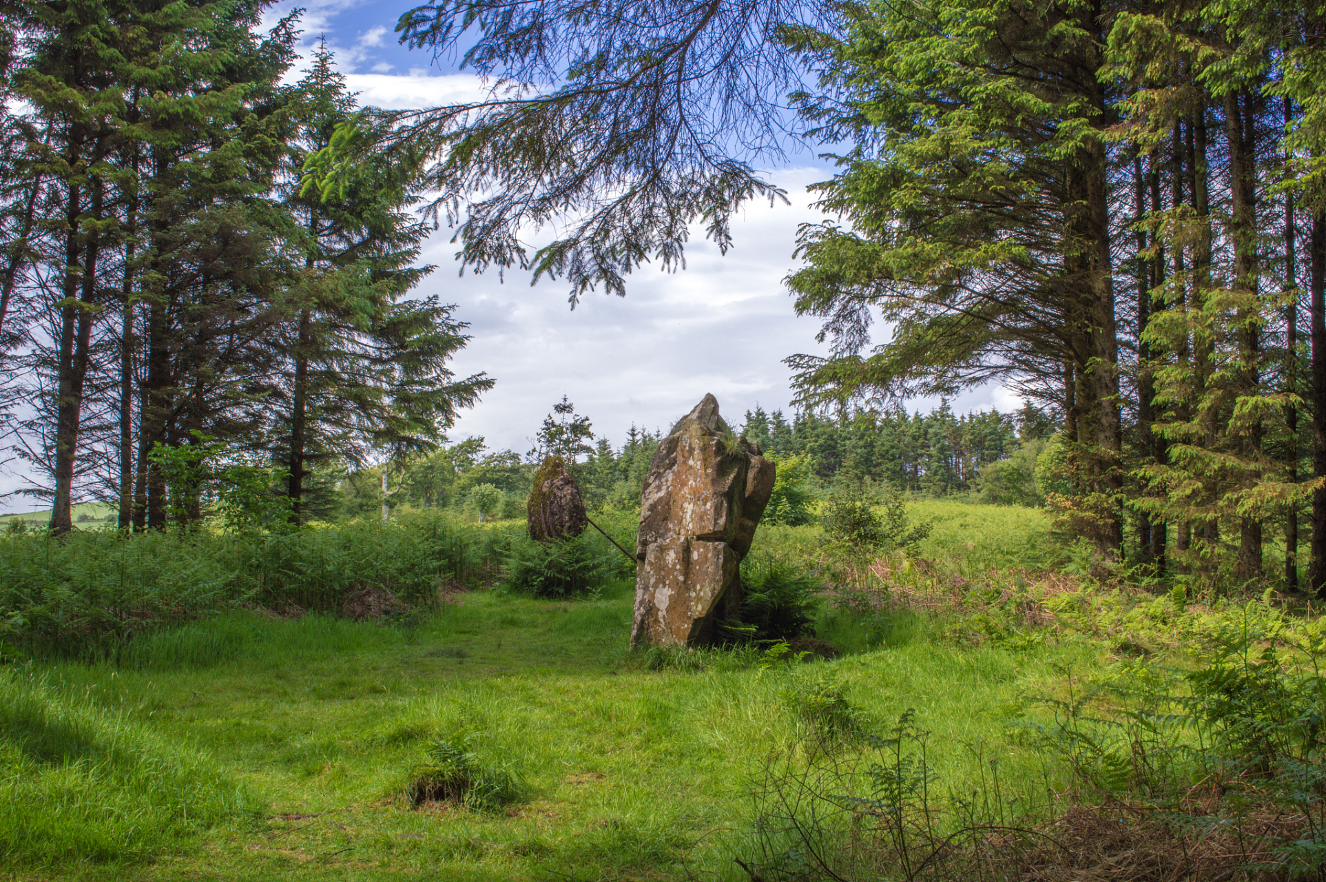 伊春市的汤旺河林海奇石景区,哎呀,就在黑龙江省的伊春市汤旺河区呢!