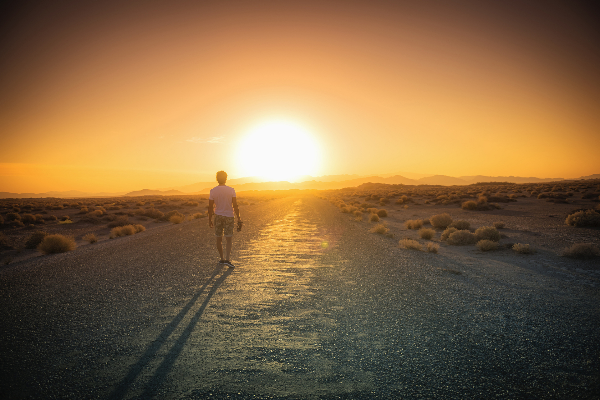 人生是一场摸索中的探索,孤单里的孤独.