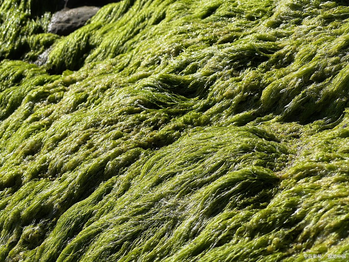 作为一名在中医科摸爬滚打多年的"老中医",我今天