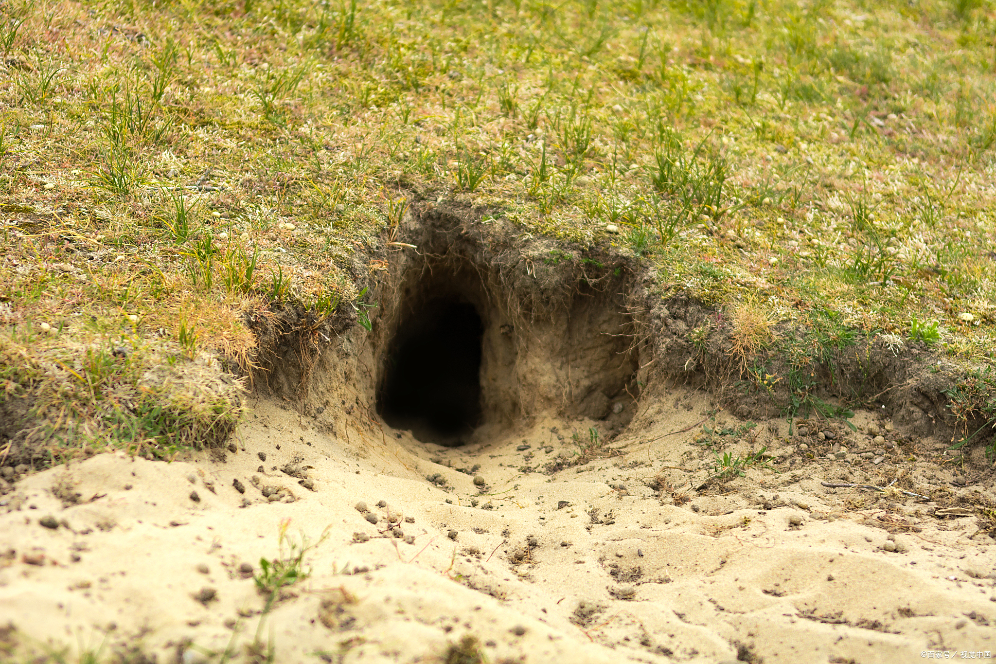 生活不止眼前道鲜蠖赐计鲜蠖吹耐计吓６囱ㄒ靶艹惭ㄒ巴獾闹 窝