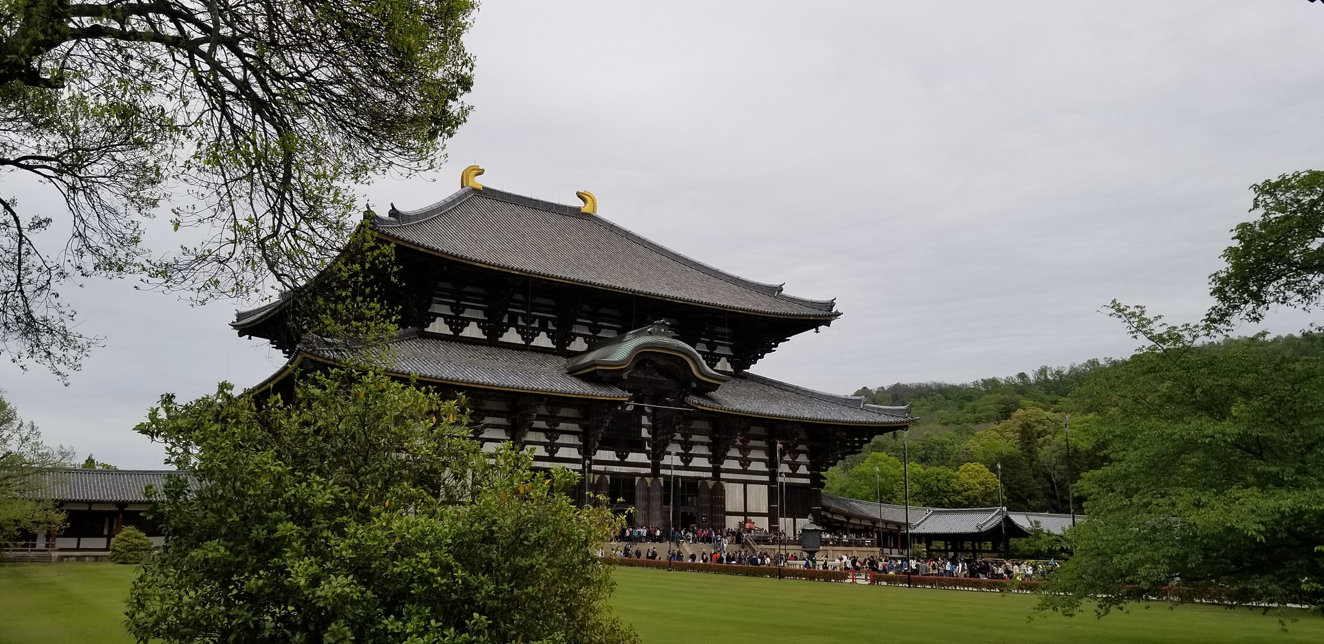 祗园寺在古代萧山以及整个浙东地区都扮演着重要的角色,对佛教文化的