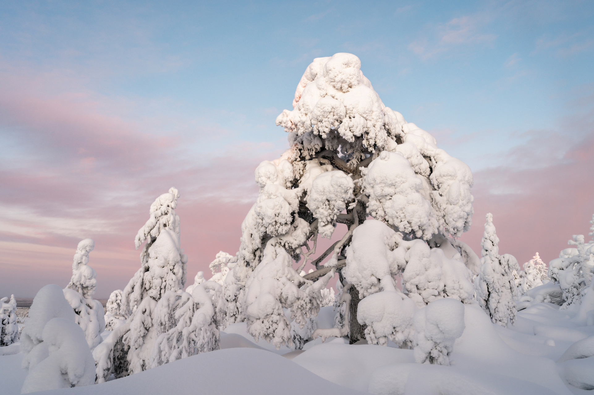 寒冷的冬季已经悄然而至,你是否也开始期待着白雪皑皑的景色和温暖的
