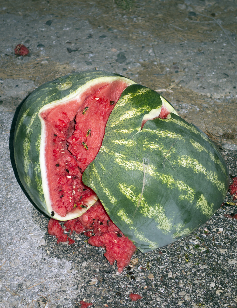 女生同情老人买5个西瓜发现全坏# 近日河南驻马店一女生,看到路边有