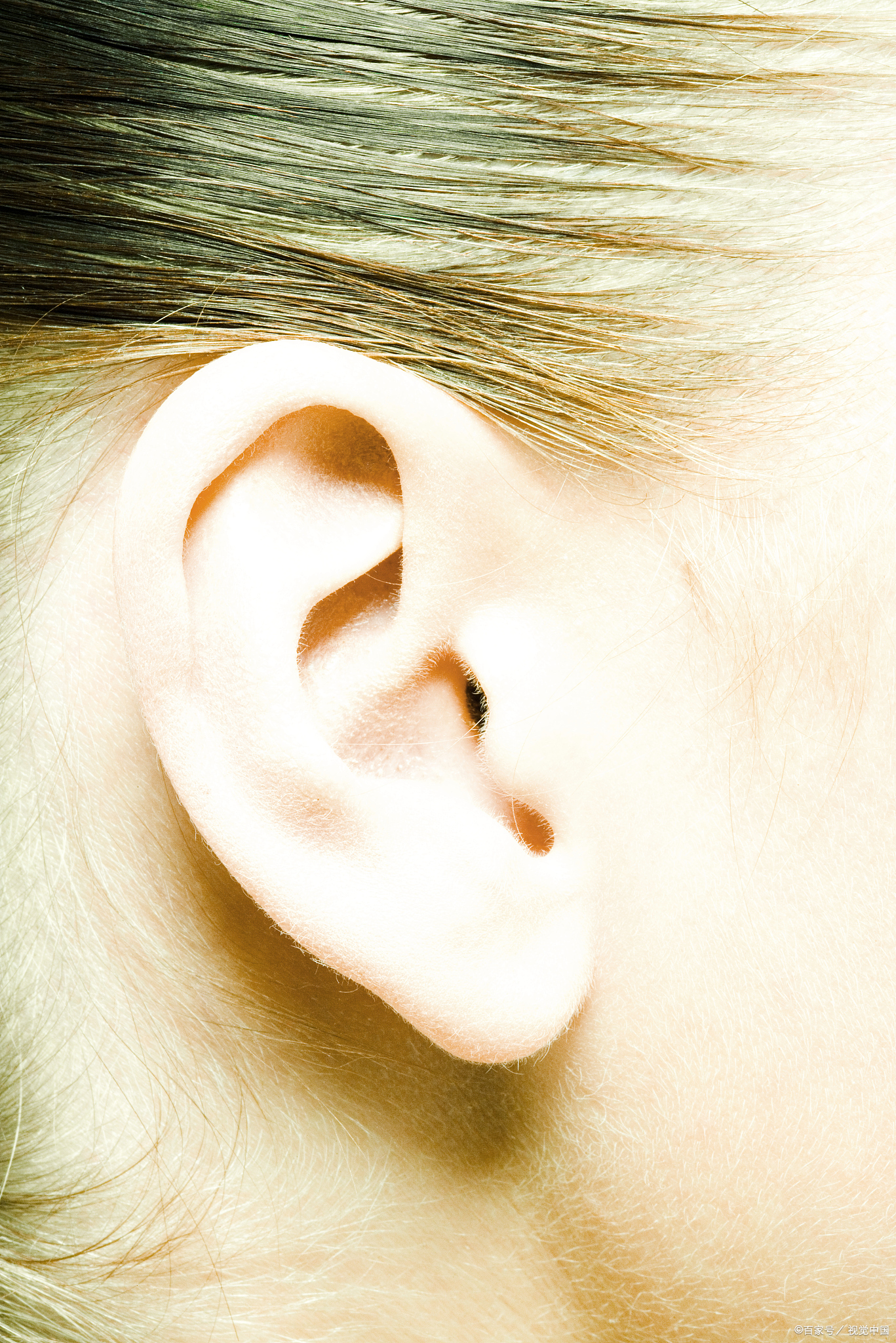 每个人都有自己的审美观点和偏好,因此不能说哪种耳朵更好看