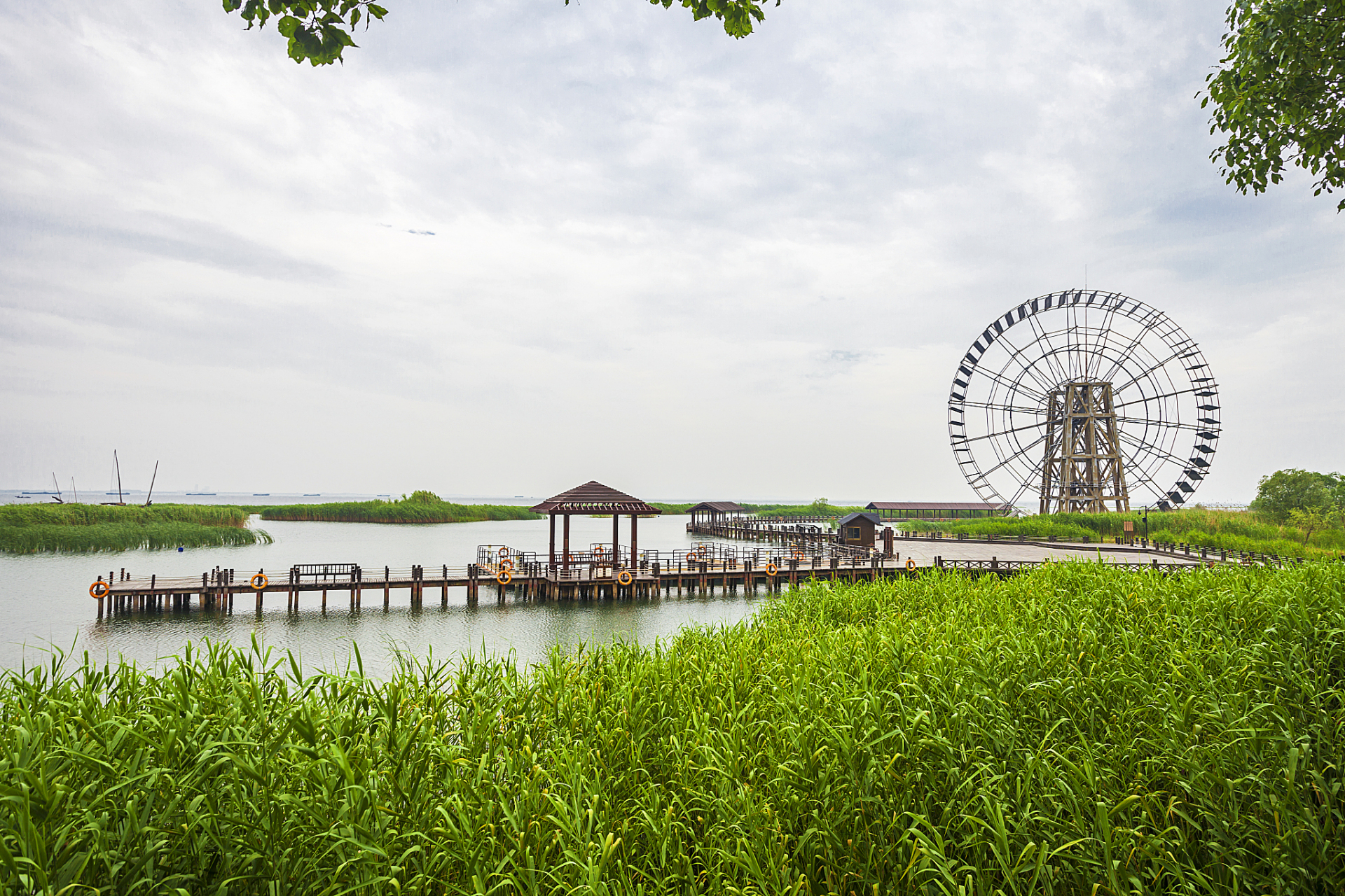 盐城,江苏东部的城市,面积比北京还大,拥有得天独厚的自然条件和丰富