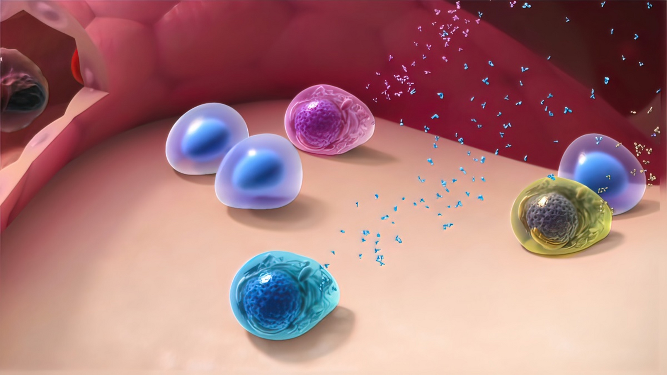 天津打干细胞去哪家医院好,批准的干细胞医院?