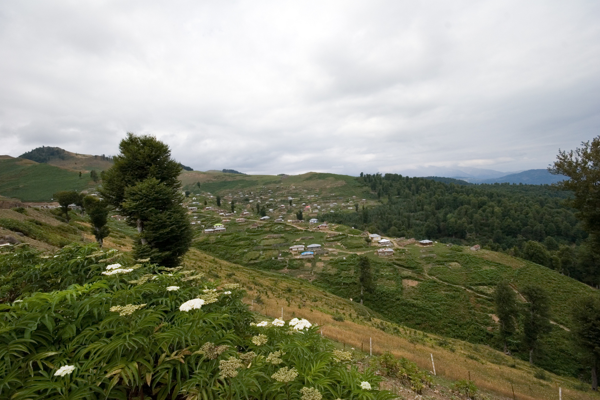 玉溪哀牢山,这个名字在我耳边回荡时,仿佛就能听到那原始森林中鸟儿