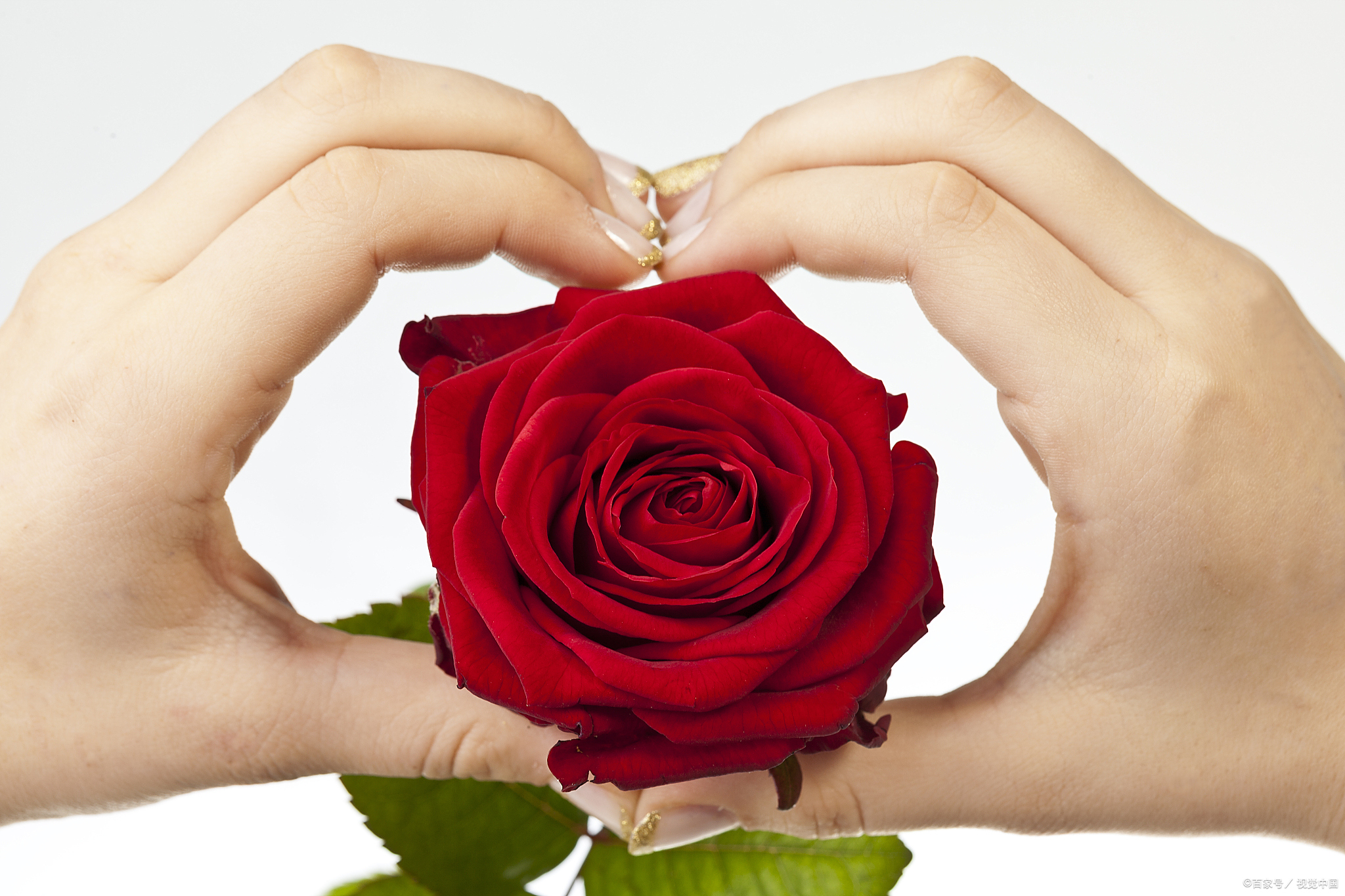 愿往后余生,心中有爱花开永不败. #情感