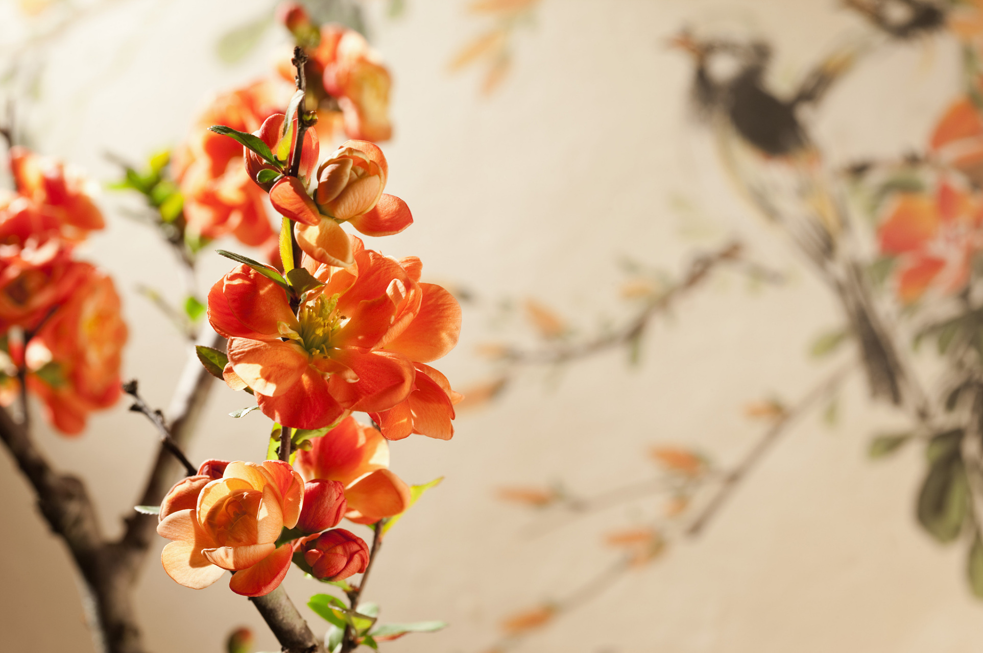 对父母来说,孩子永远是第一顺位,但是老年人应该为