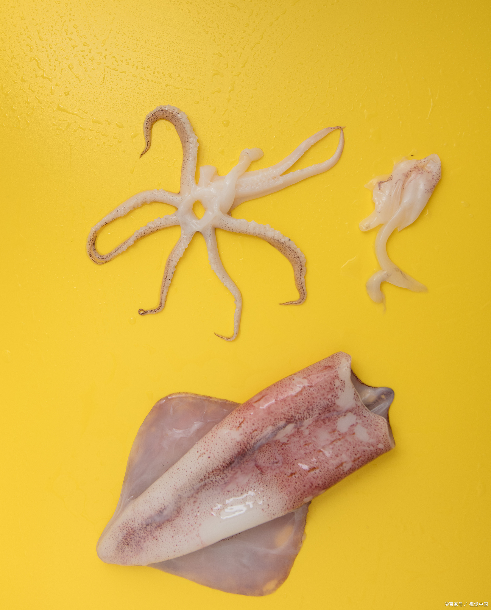 鱿鱼营养价值及功效是什么 嘿小伙伴们,今天咱们来聊聊一个既接地气又