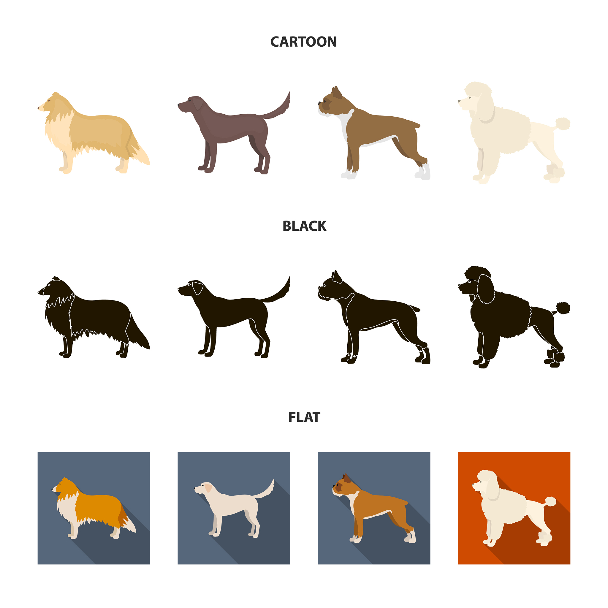 狗狗能陪伴我们多久？不同体型犬类寿命大揭秘