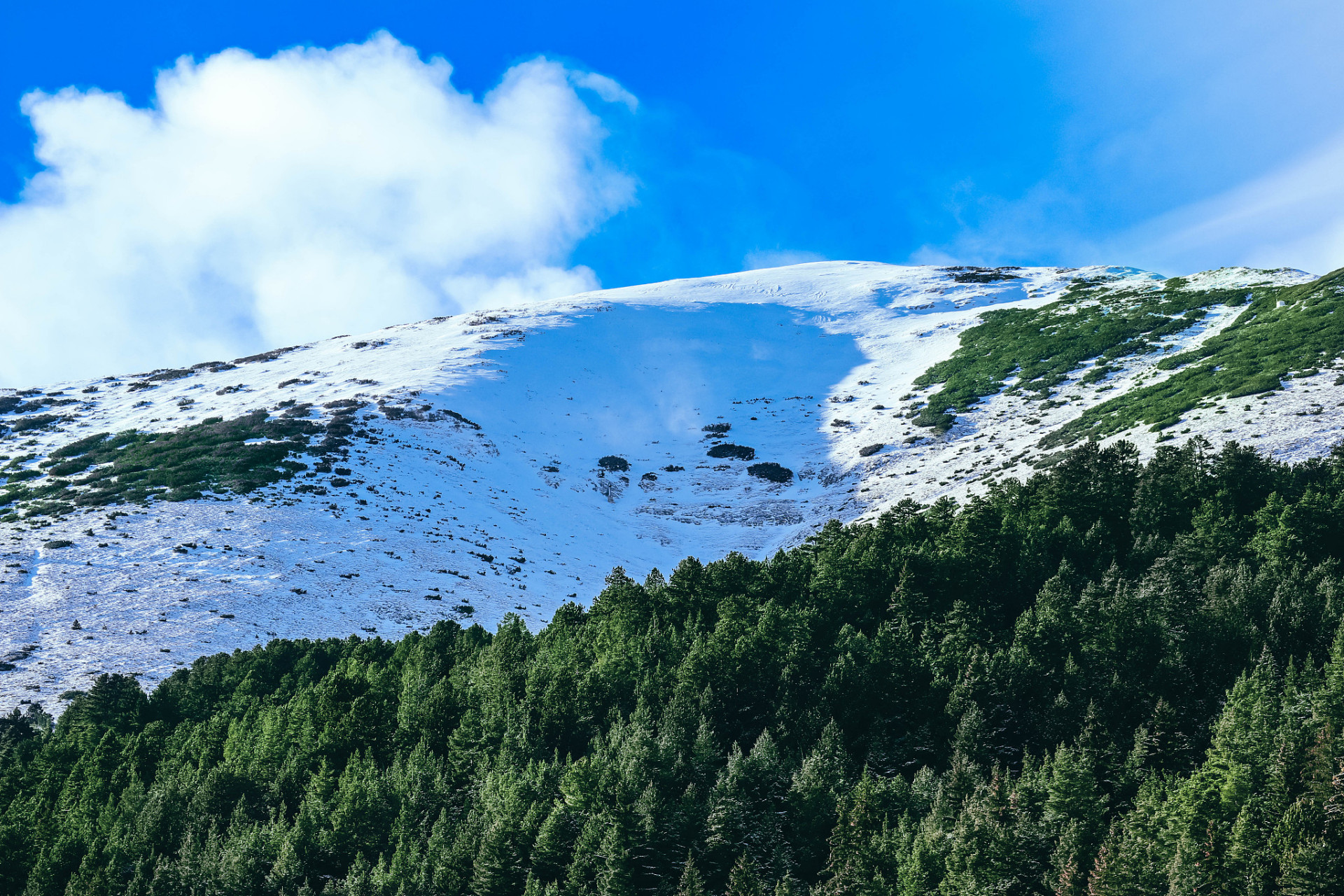 长白山西坡,尽享天池,锦江瀑布与玉柱峰的壮美!6-10月最佳游玩期.