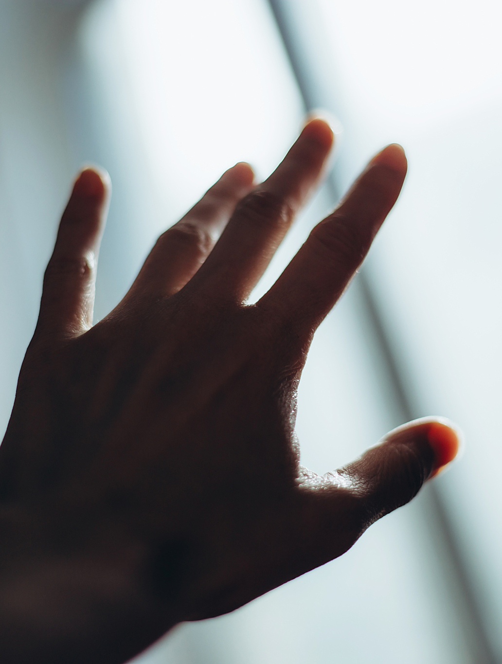 警钟长鸣!捞女现象猖狂,优质男性成猎物遭精神诈骗