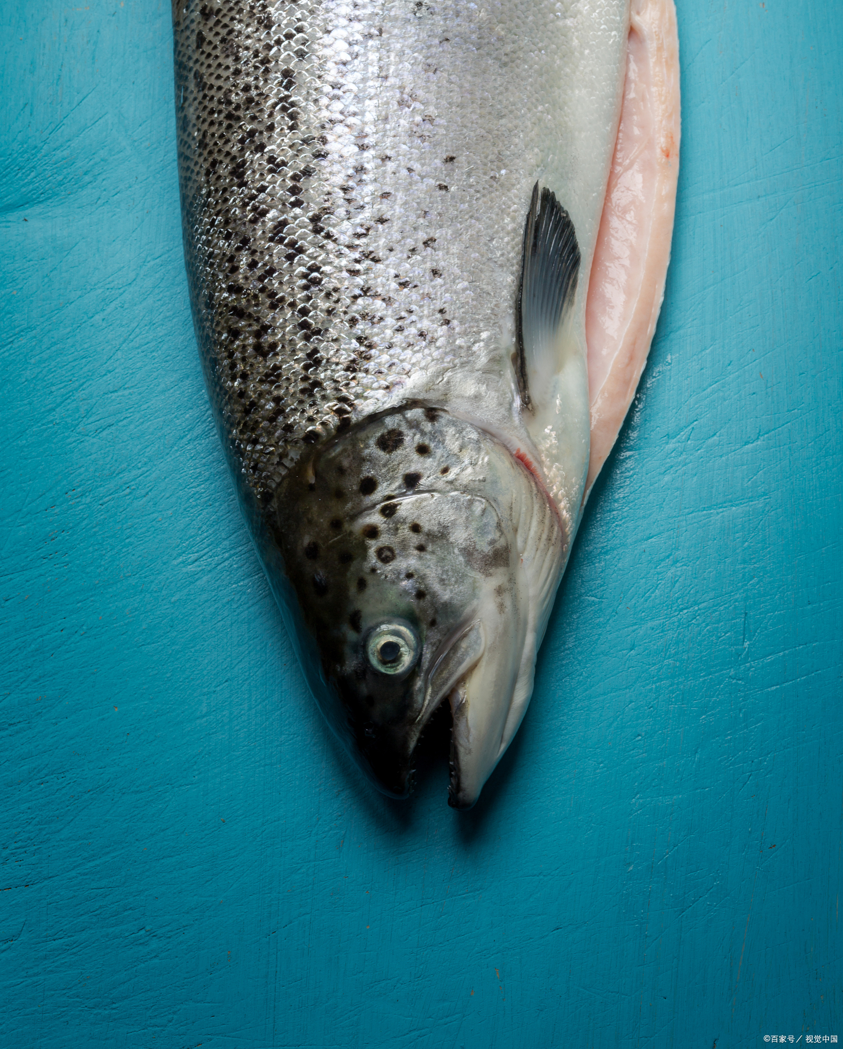 昨天我在某直播间抢到"瑞士百年实验室出品"的鱼油