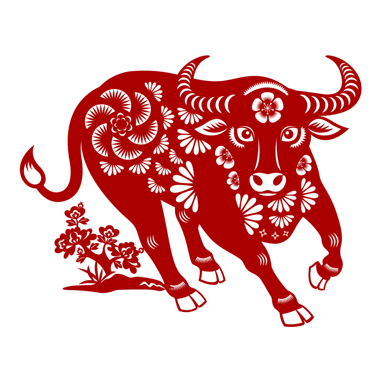 [原文:"无心插柳柳成荫":属牛.