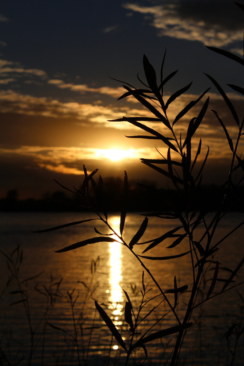 今天,我无意间看到一句话:"晚风吹人醒,万事藏于心.