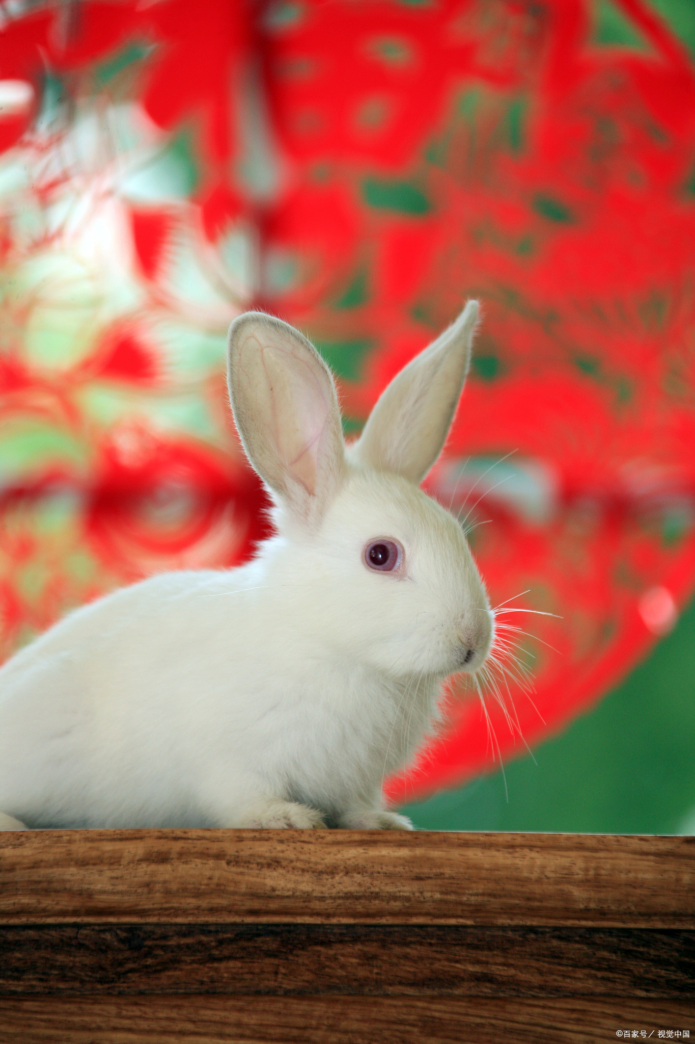 八月这几个生肖,爱情双丰收!