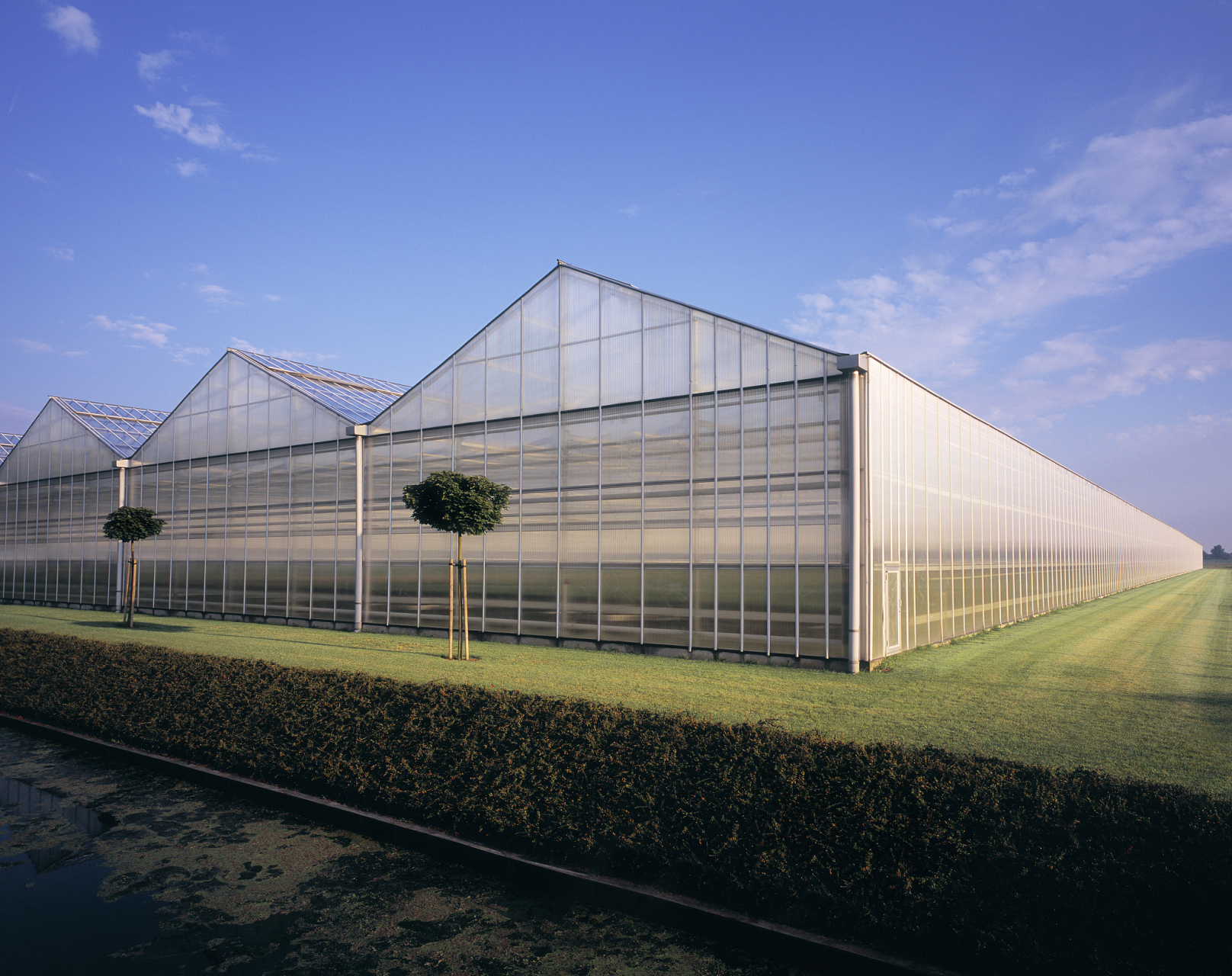 想要拥有自己高质量的避雨大棚,该如何如何选择.