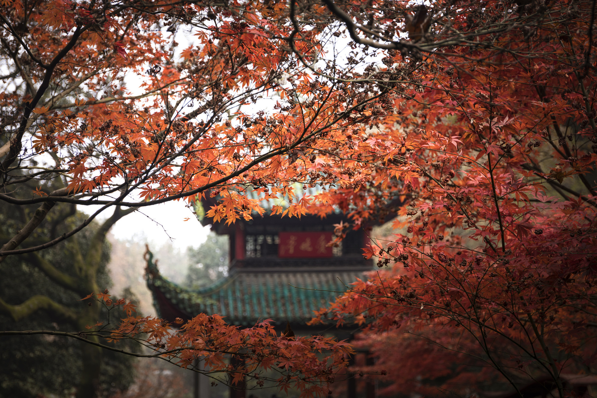 香山公园美景描写图片