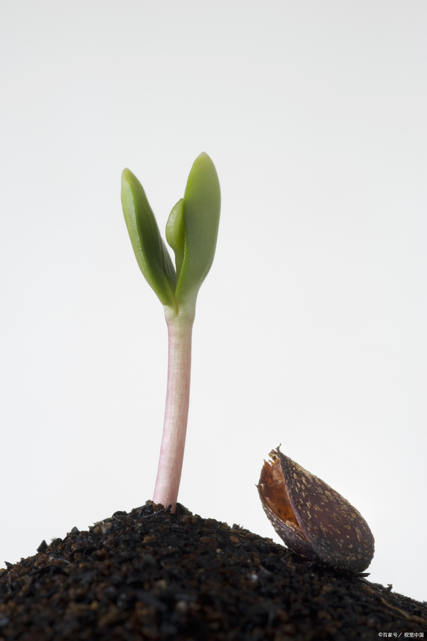 生命还是在于折腾,老默翻了一下去年写百家号的记录