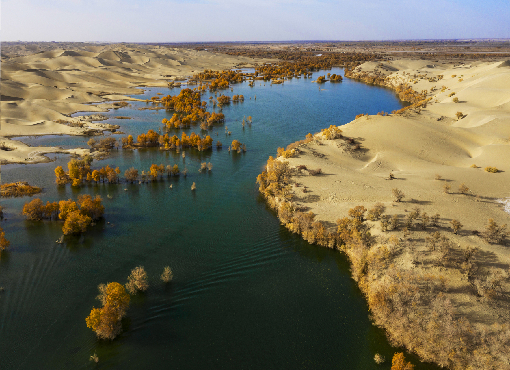 塔里木河属于内流河,滋养了丰富的生物多样性,为当地的农业生产和居民