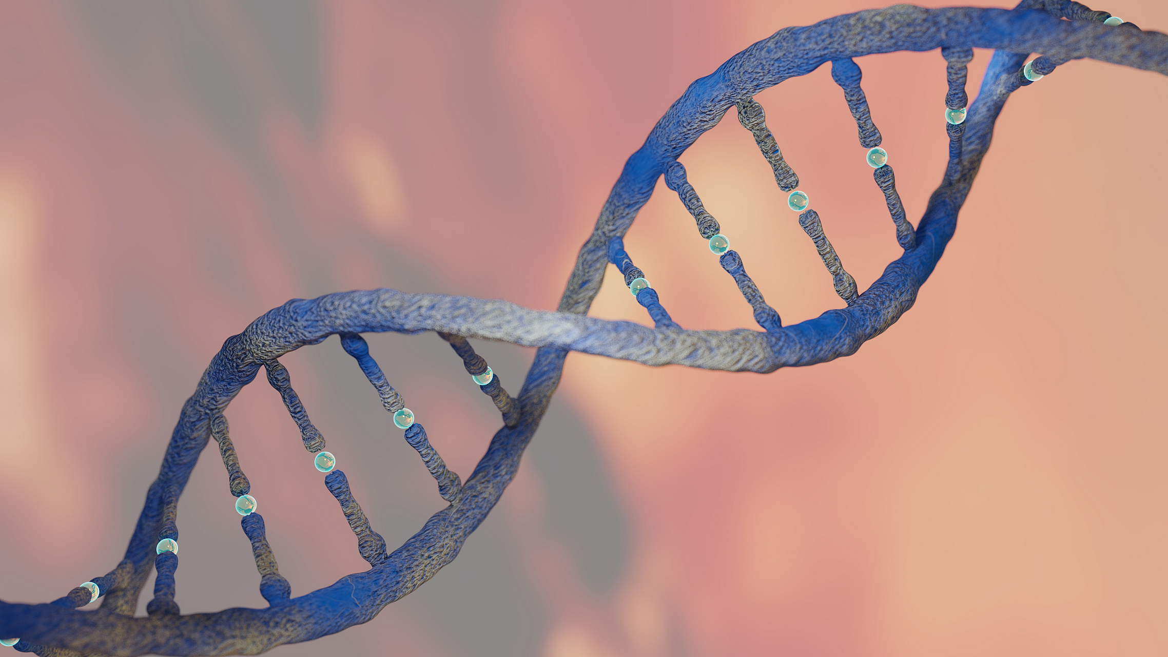 体外哺乳动物细胞基因突变试验是一种常用的检测细胞基因突变的方法