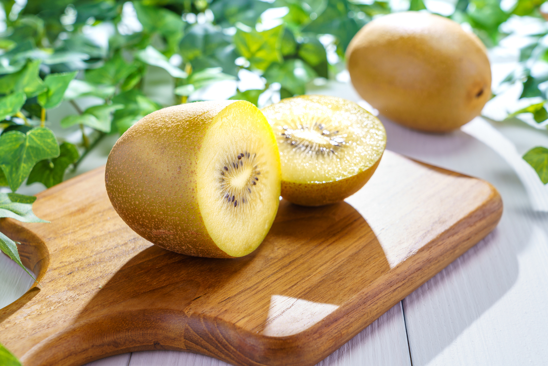 总是让人感到有些萧瑟和无助,但是,当你看到那一颗颗圆润饱满的果实