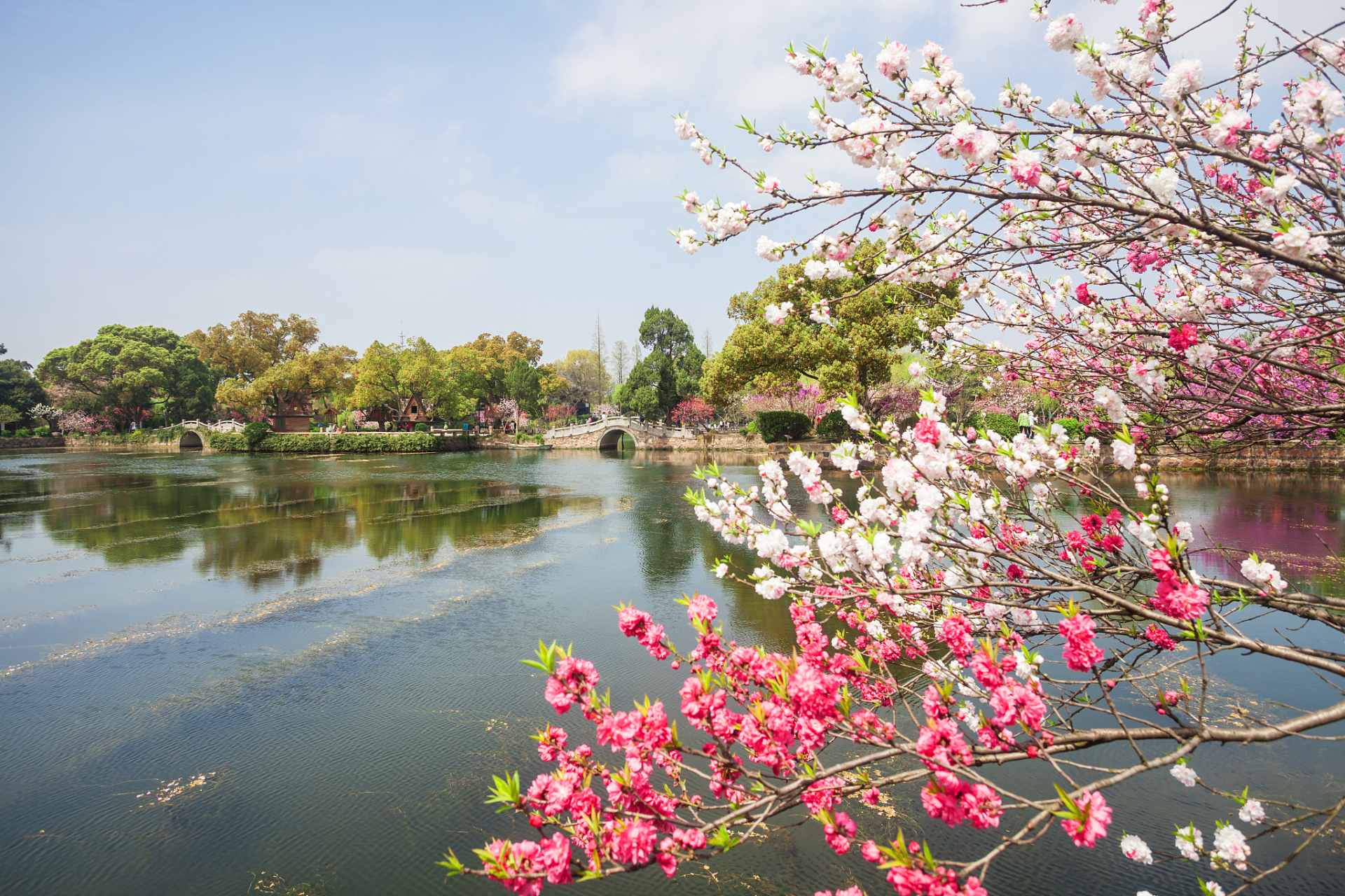 春季旅游图片大全真实照片(春季旅游穿什么衣服搭配图片)