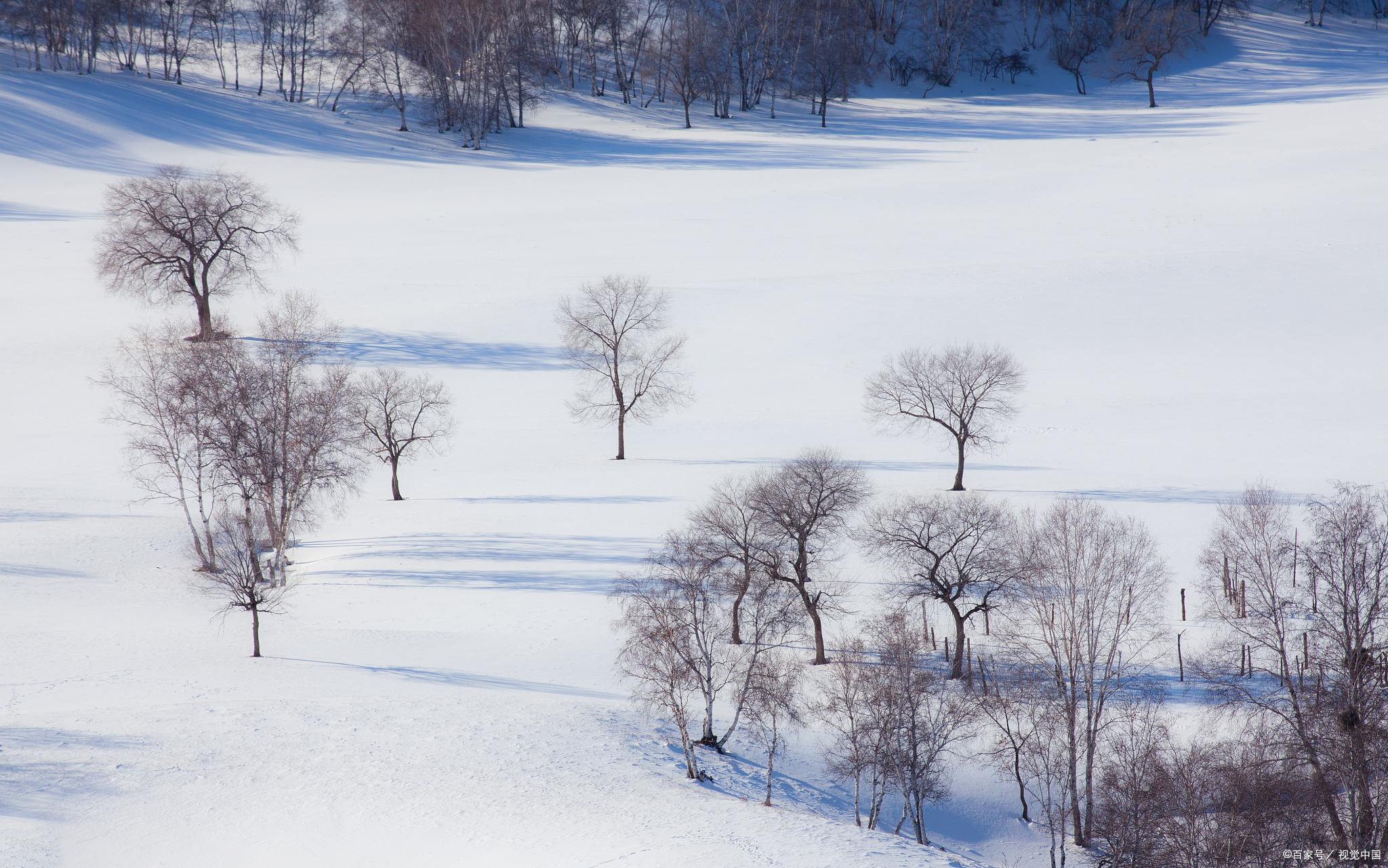 东北的雪地,是一幅画,一首诗,更是一个冬日的童话世界