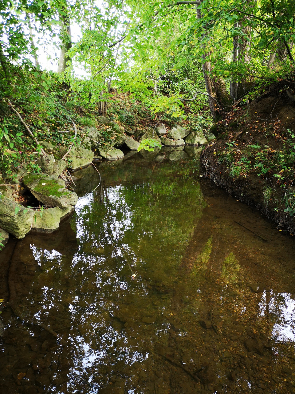夏日漫游山河卷# 广西桂平龙潭森林公园,暑假亲子游的绝佳去处!
