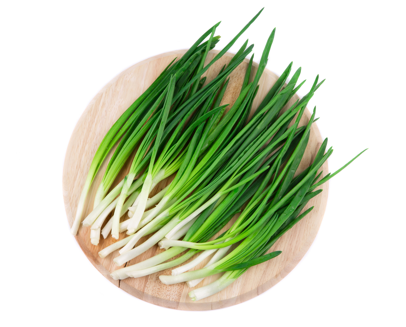 小葱,也被称为香葱,绵葱,火葱,四季葱和细米葱,是一种属于百合科的