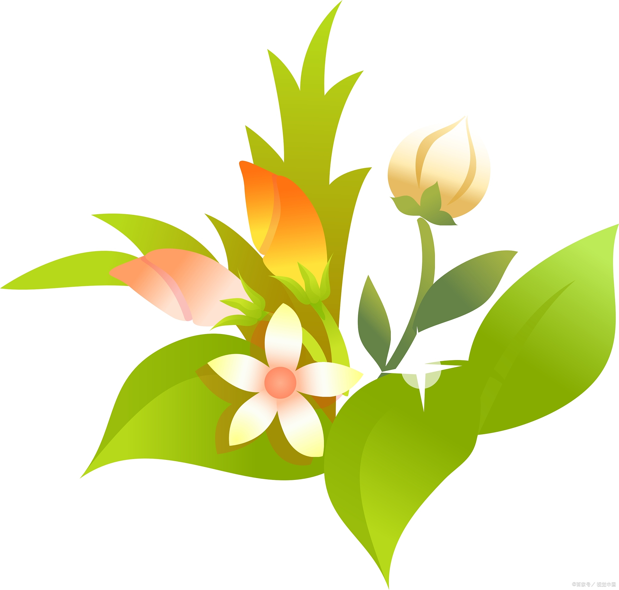 只有一件事会使人疲劳:摇摆不定和优柔寡断