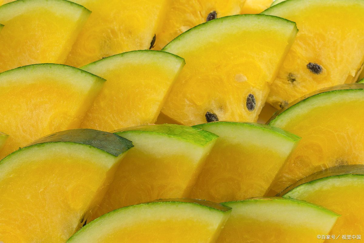 是一种在沙土中栽培的西瓜,深绿色的网纹瓜,这样的瓜看起来外观很喜人